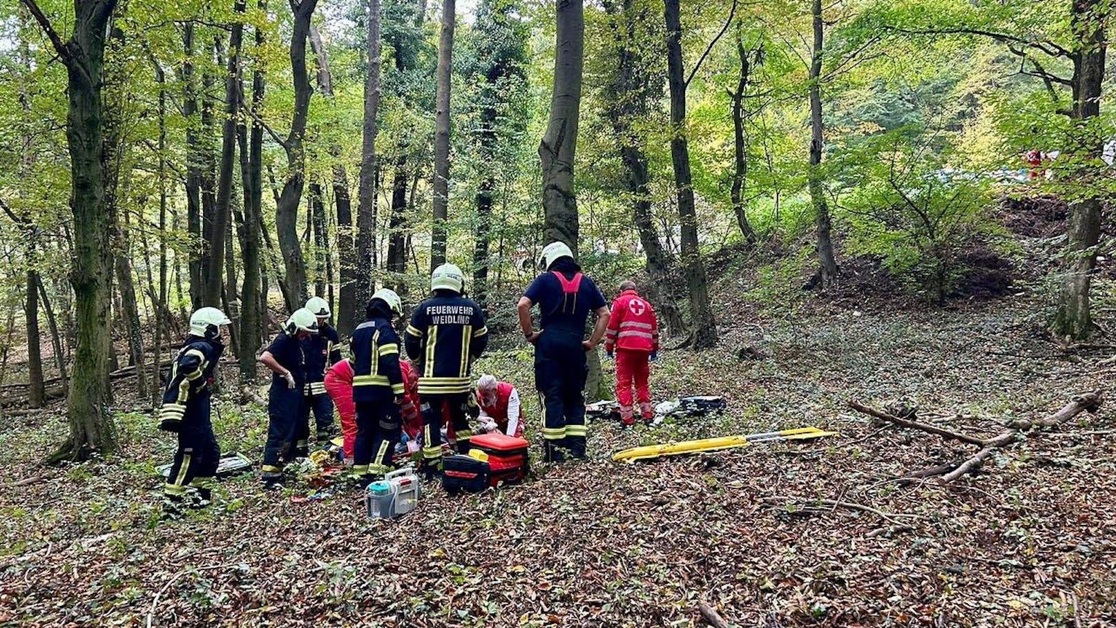 Drama im Wald! Baum stürzte auf Forstarbeiter