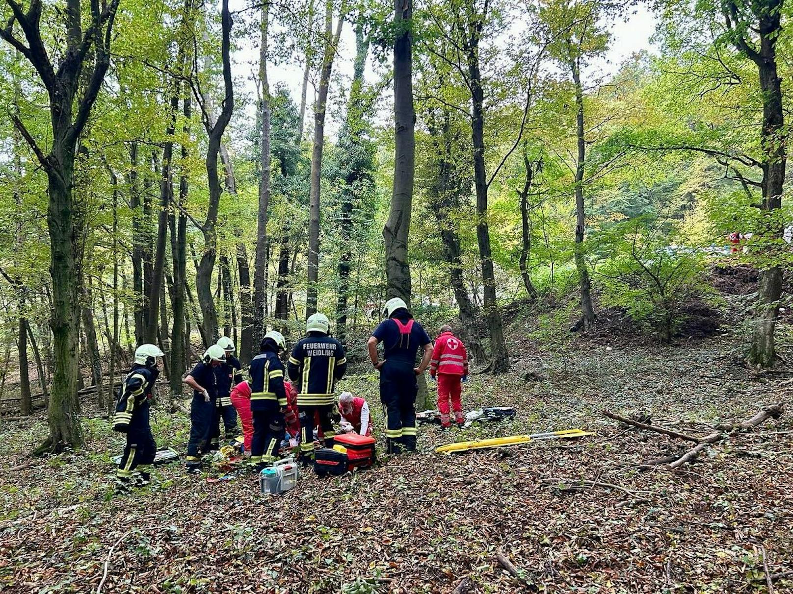 Im Wienerwald an der Wiener Stadtgrenze kam es kürzlich zu einem schweren Arbeitsunfall.