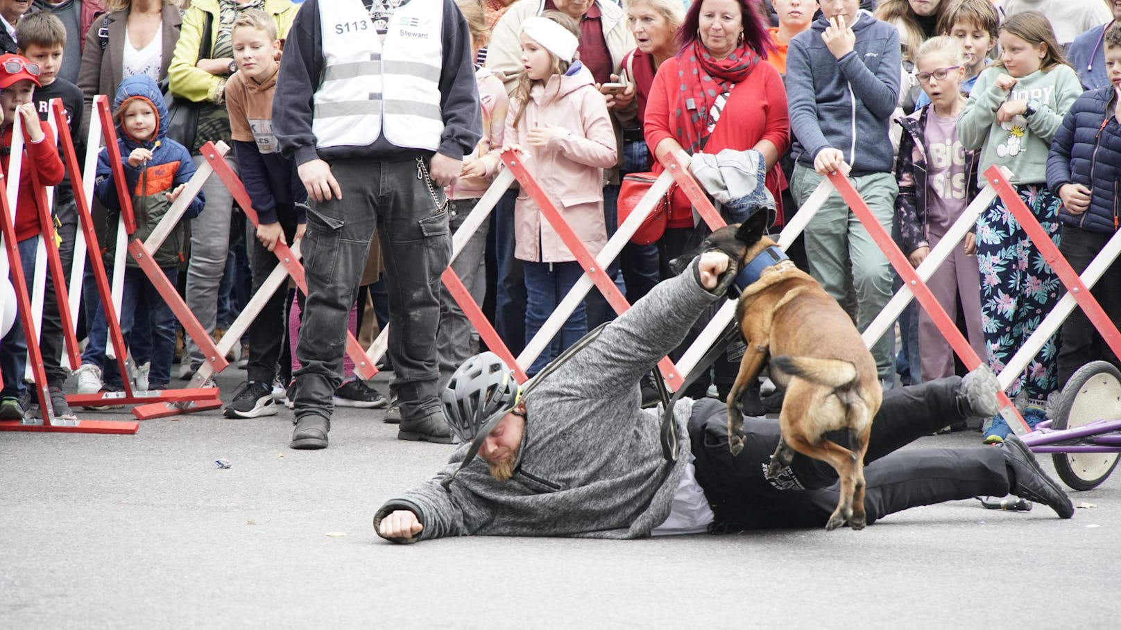 Die Helfer Wiens präsentieren sich am 26. Oktober gemeinsam mit den Wiener Hilfs- und Einsatzorganisationen. Auch WEGA und Polizeidiensthunde zeigten, was sie können. 