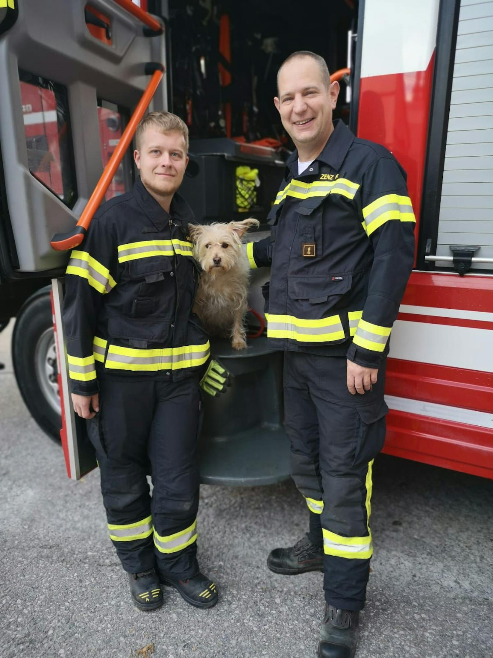 Ganz gechillt sah Marie den Helfern beim Werken zu.