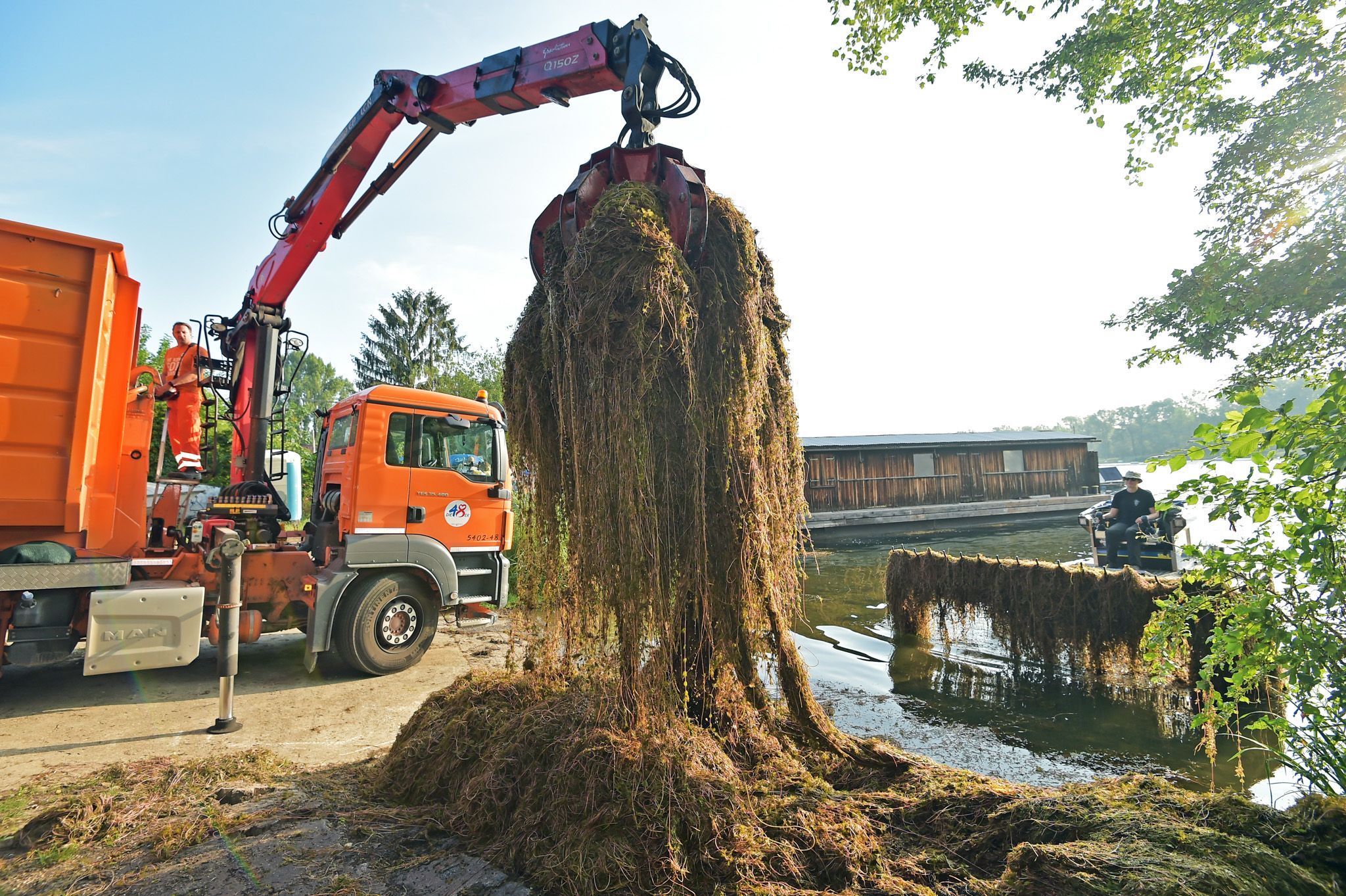 Insgesamt wurden heuer fast 2.500 Tonnen Wasserpflanzen in Wien abgemäht. 