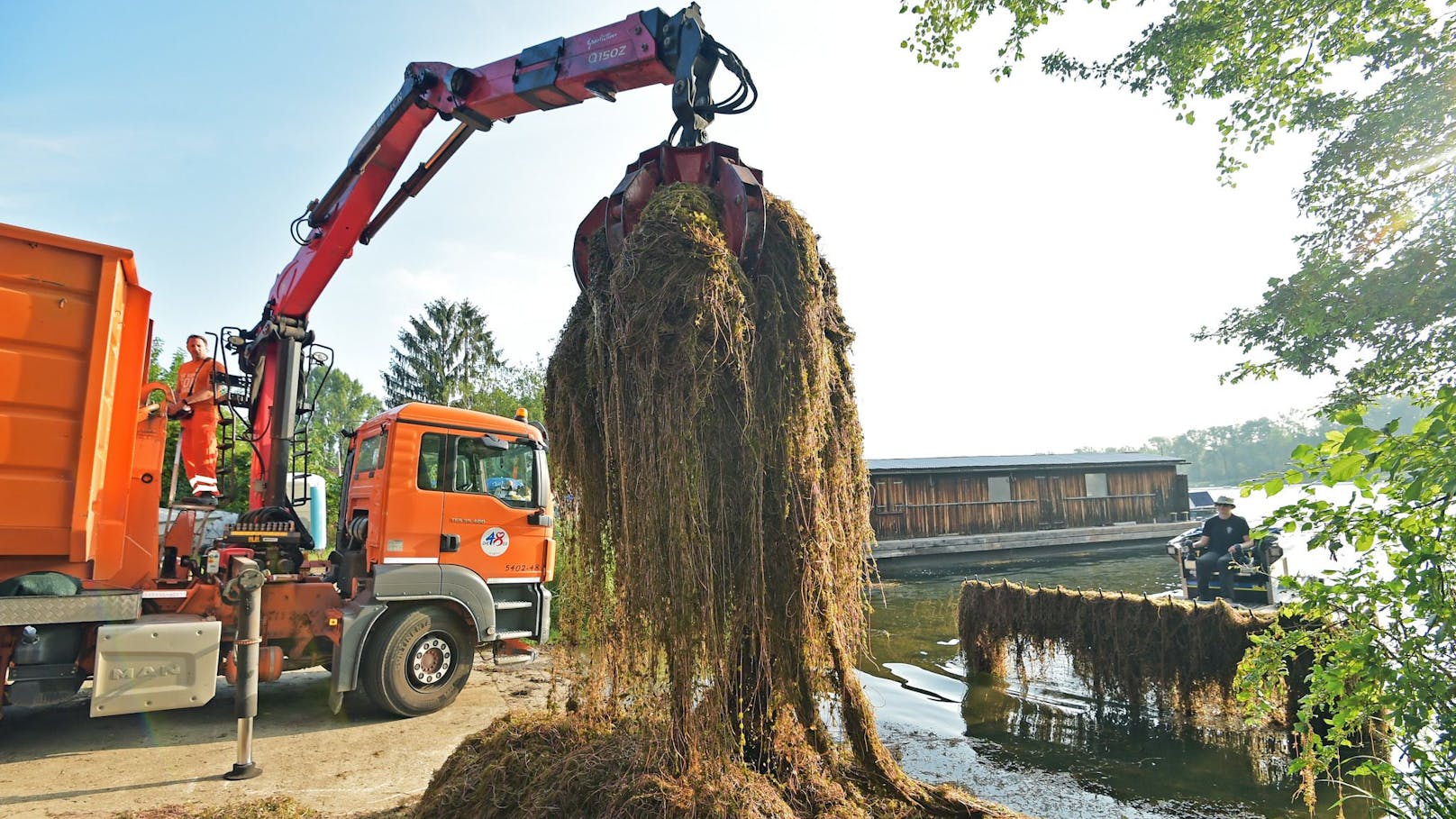 Echt abgemäht! 2.350 Tonnen Pflanzen aus Donau geholt