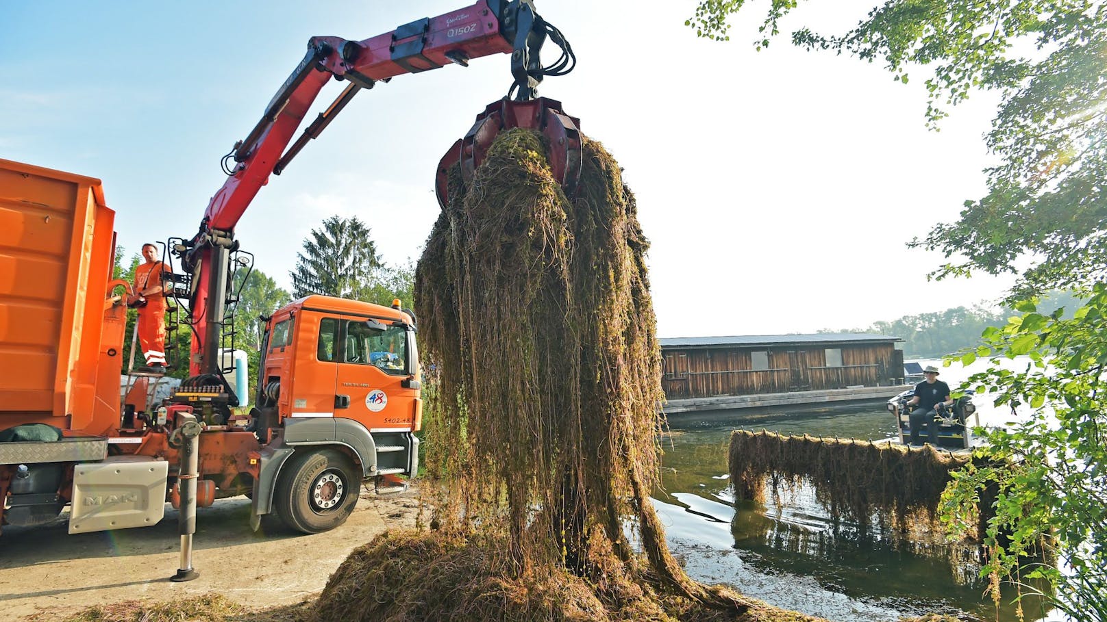 Echt abgemäht! 2.350 Tonnen Pflanzen aus Donau geholt