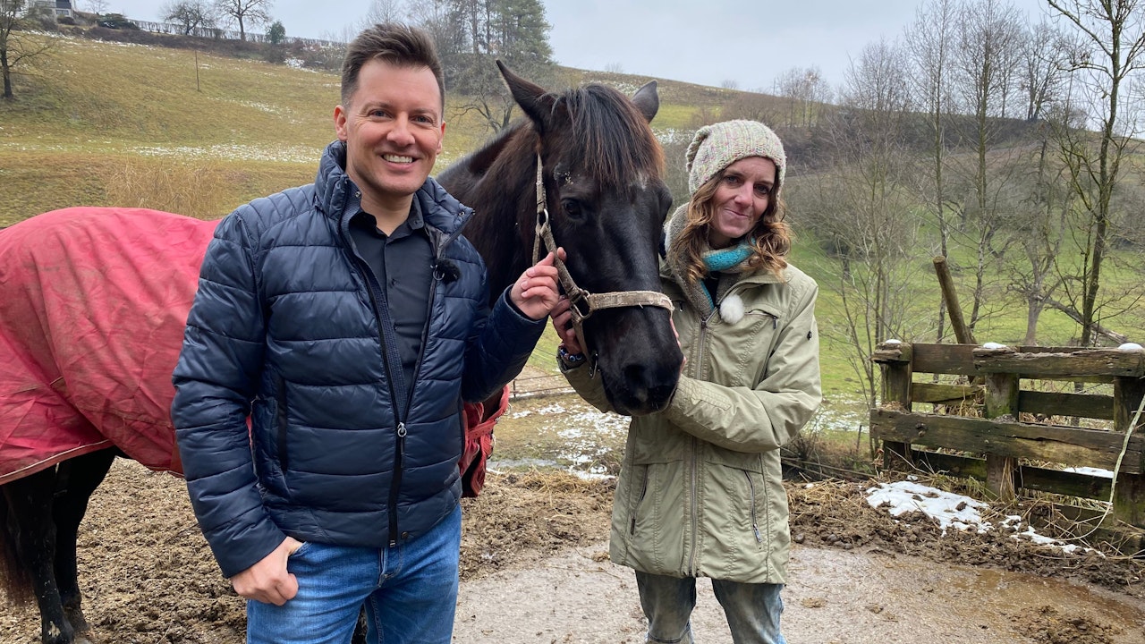 Heute.at - Nachbarn streiten um Wasserquelle in Kärntner Waldstück