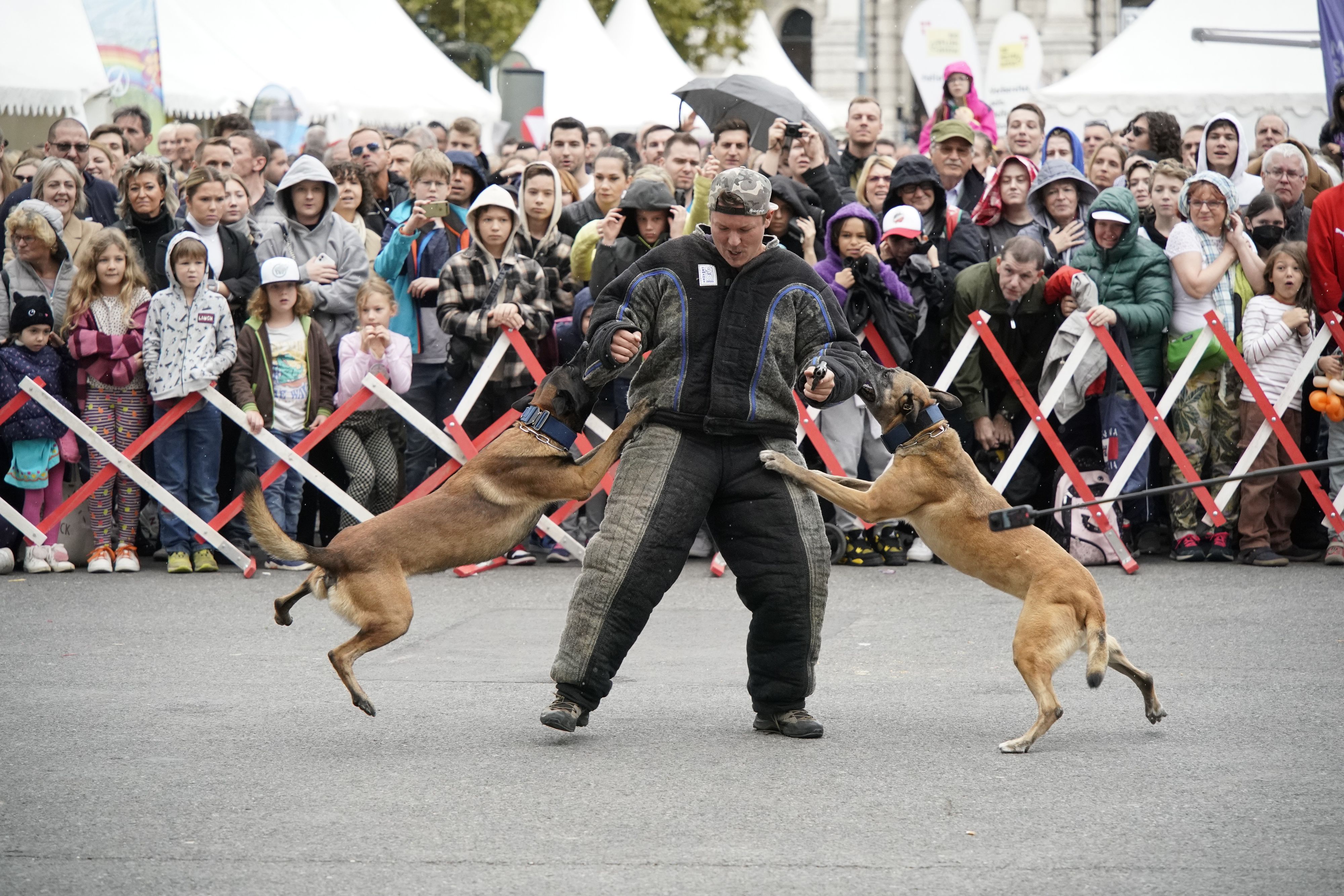 Am Wochenende des Nationalfeiertages startet das Sicherheitsfest wieder.