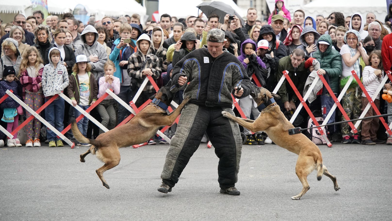 Die Helfer Wiens präsentieren sich am 26. Oktober gemeinsam mit den Wiener Hilfs- und Einsatzorganisationen. Auch WEGA und Polizeidiensthunde zeigten, was sie können. 