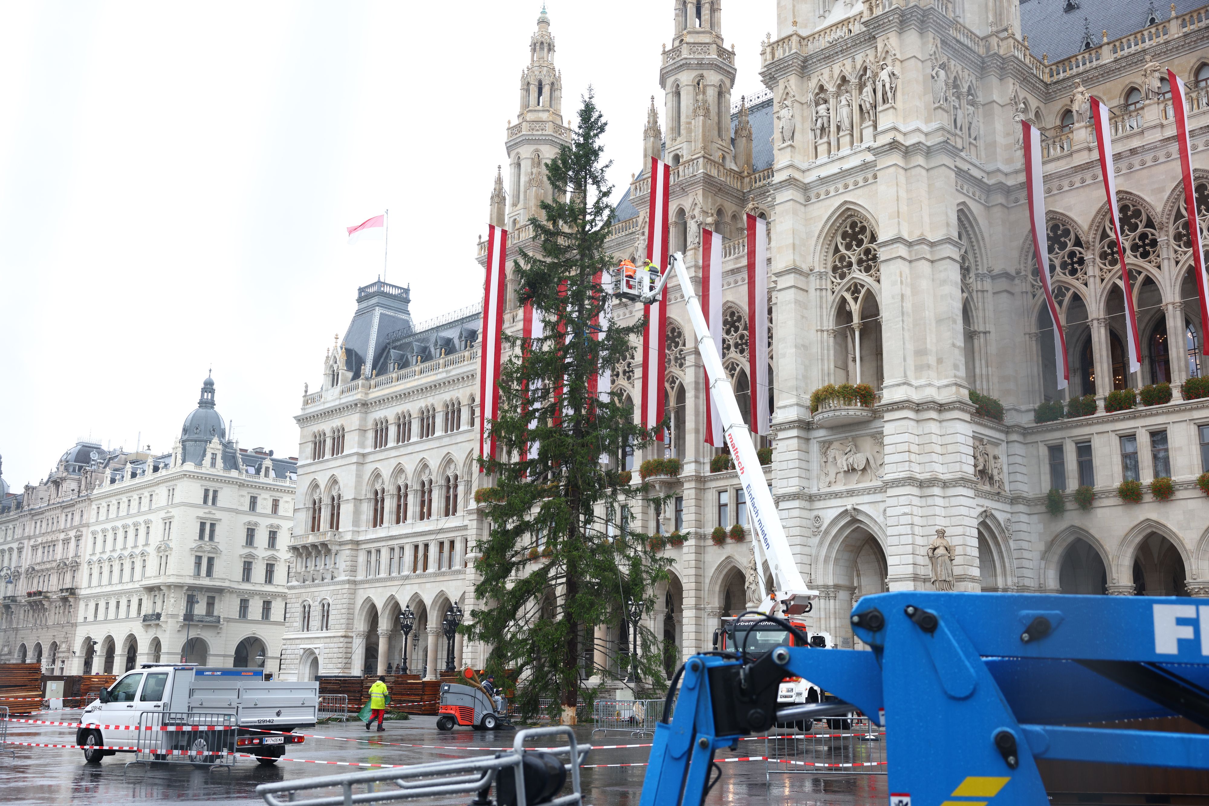Am Freitag wurde die Fichte aus Südtirol vor dem Wiener Rathaus aufgestellt.