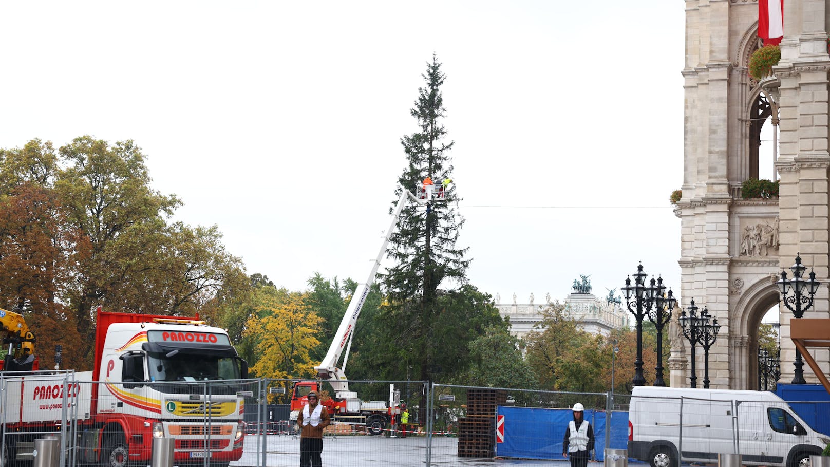 Wiener Weihnachtsbaum sorgt nun für Ärger mit Italien