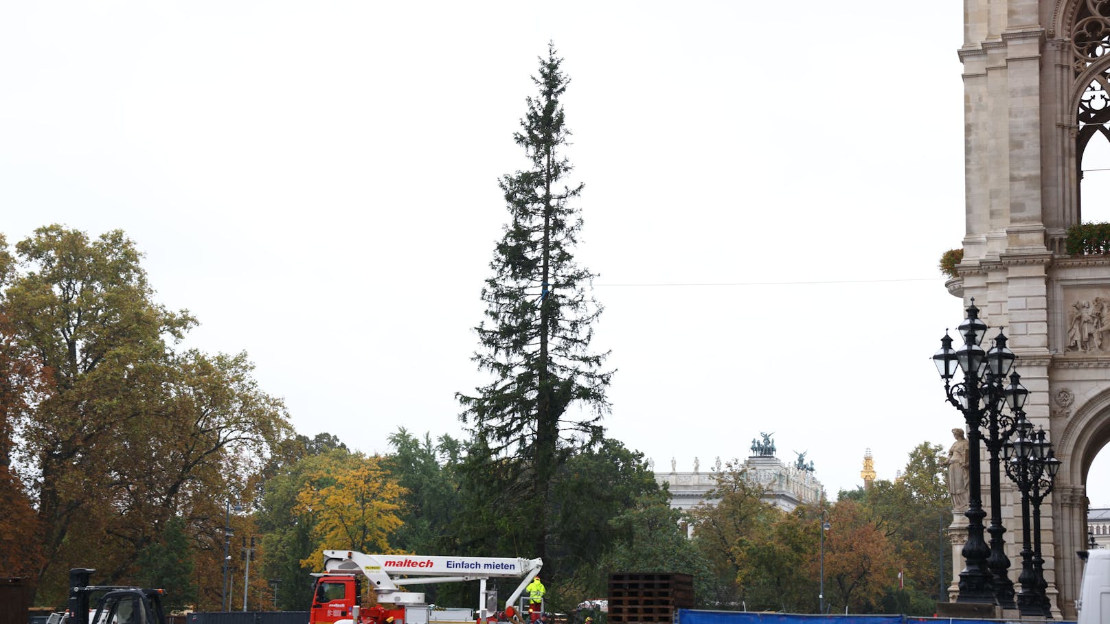 Am Montag, 23. Oktober, wurde der Baum im Rautal am Enneberg in Südtirol gefällt und heute vor dem Wiener Rathaus aufgestellt.