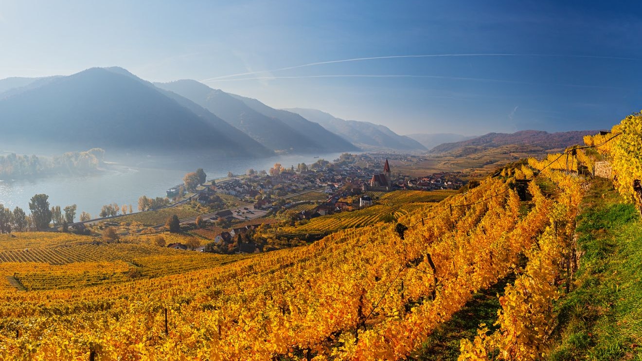Dank des Südföhns können wir uns auf freundliches Wetter einstellen. (Symbolbild)