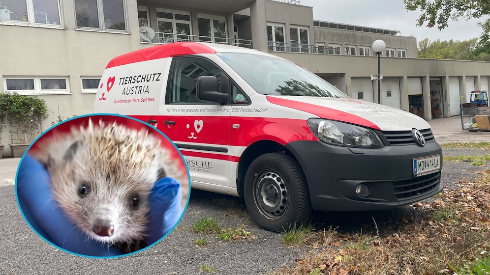 Das Einsatzfahrzeug der Tierrettung hat ausgedient. 