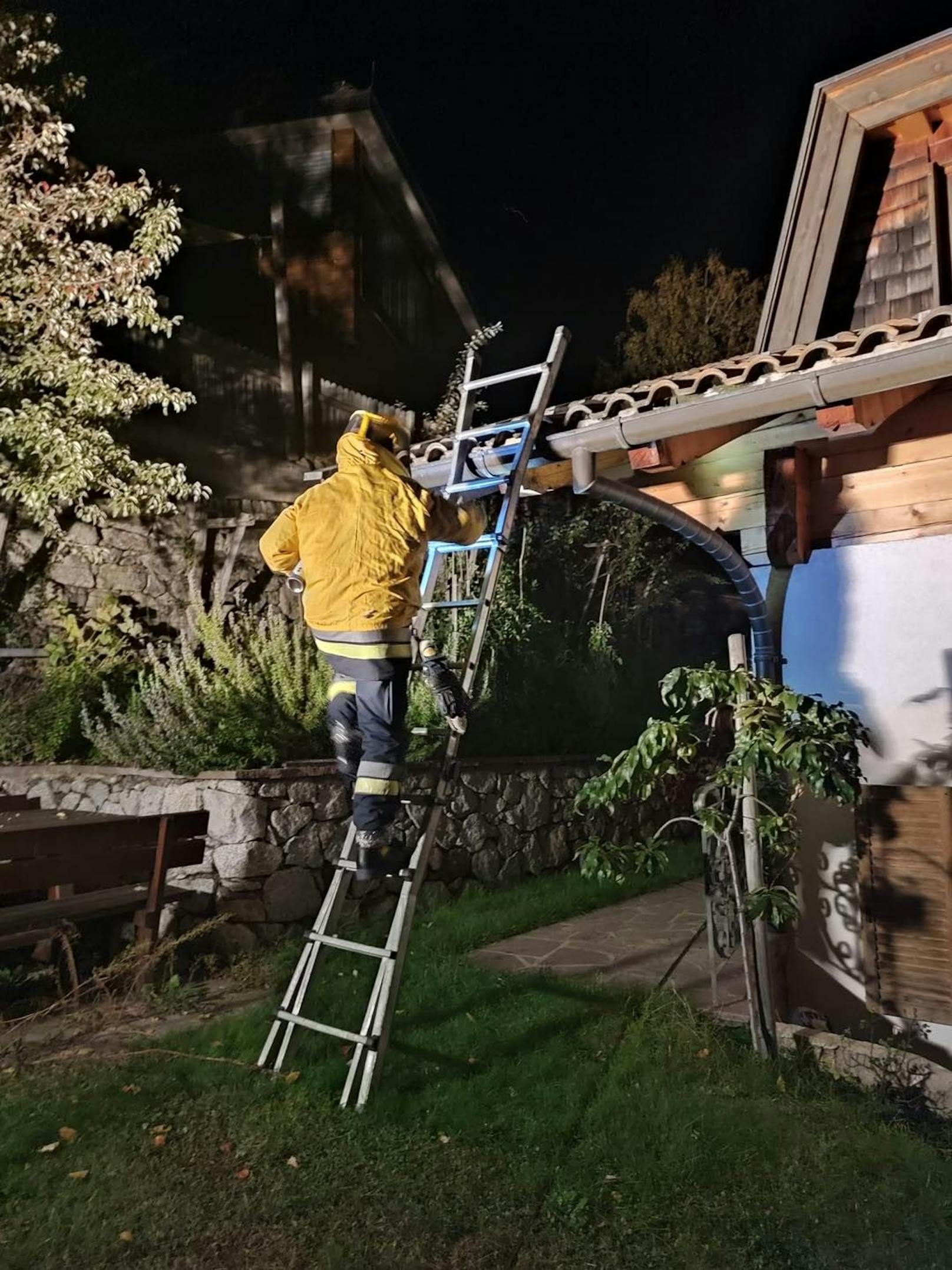 Die Freiwillige Feuerwehr von Dorf Tirol (Südtirol) hat ein ausgesprochen großes Wespennest entfernt.