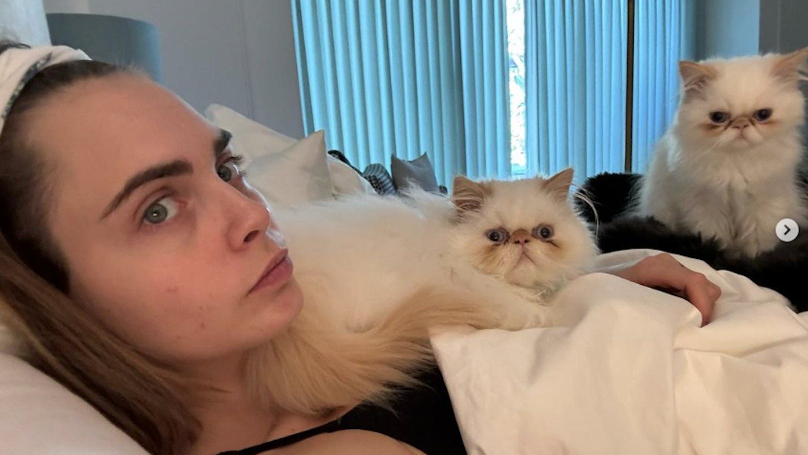 Cara Delevingne genießt den Morgen mit ihren beiden Katzen im Bett.