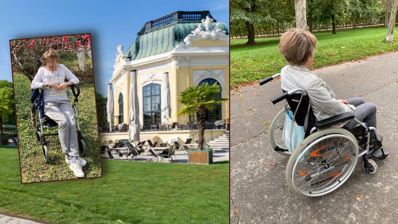 So laut wie Auto-Hupe  Tiergarten Schönbrunn: Nachwuchs bei