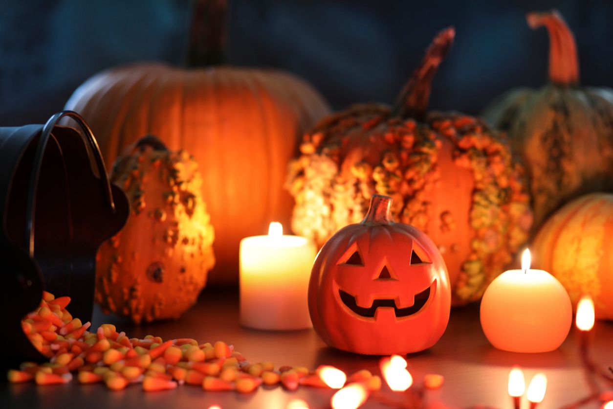 Die gruseligste Zeit des Jahres steht vor der Tür.