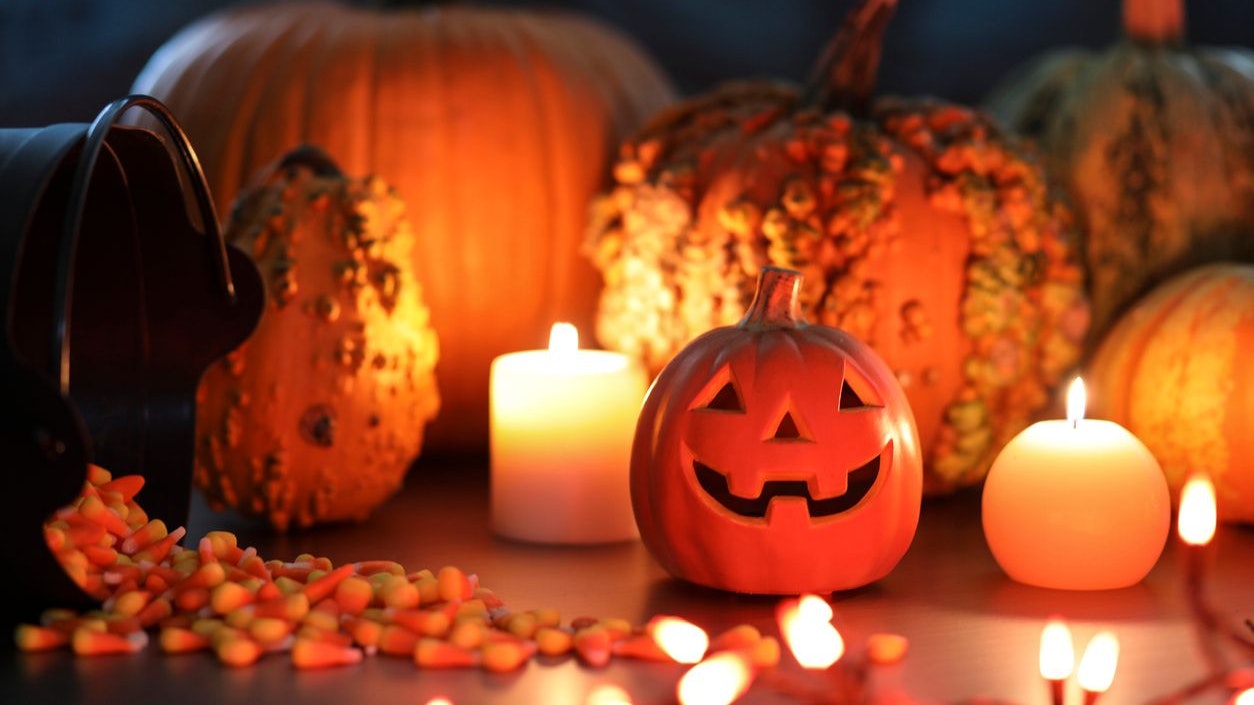 Die gruseligste Zeit des Jahres steht vor der Tür.