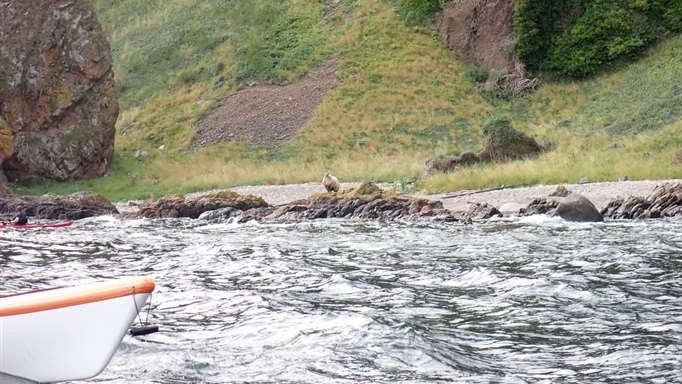 … wenn sie an der unwegsamen Stelle vorbeikommen.