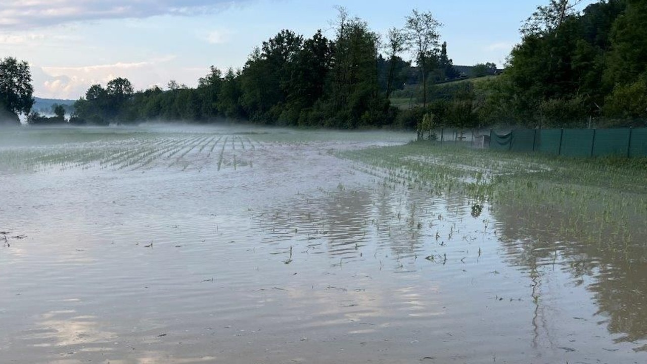 Heute.at - Bauern-Vertreter macht klare Klimawandel-Ansage