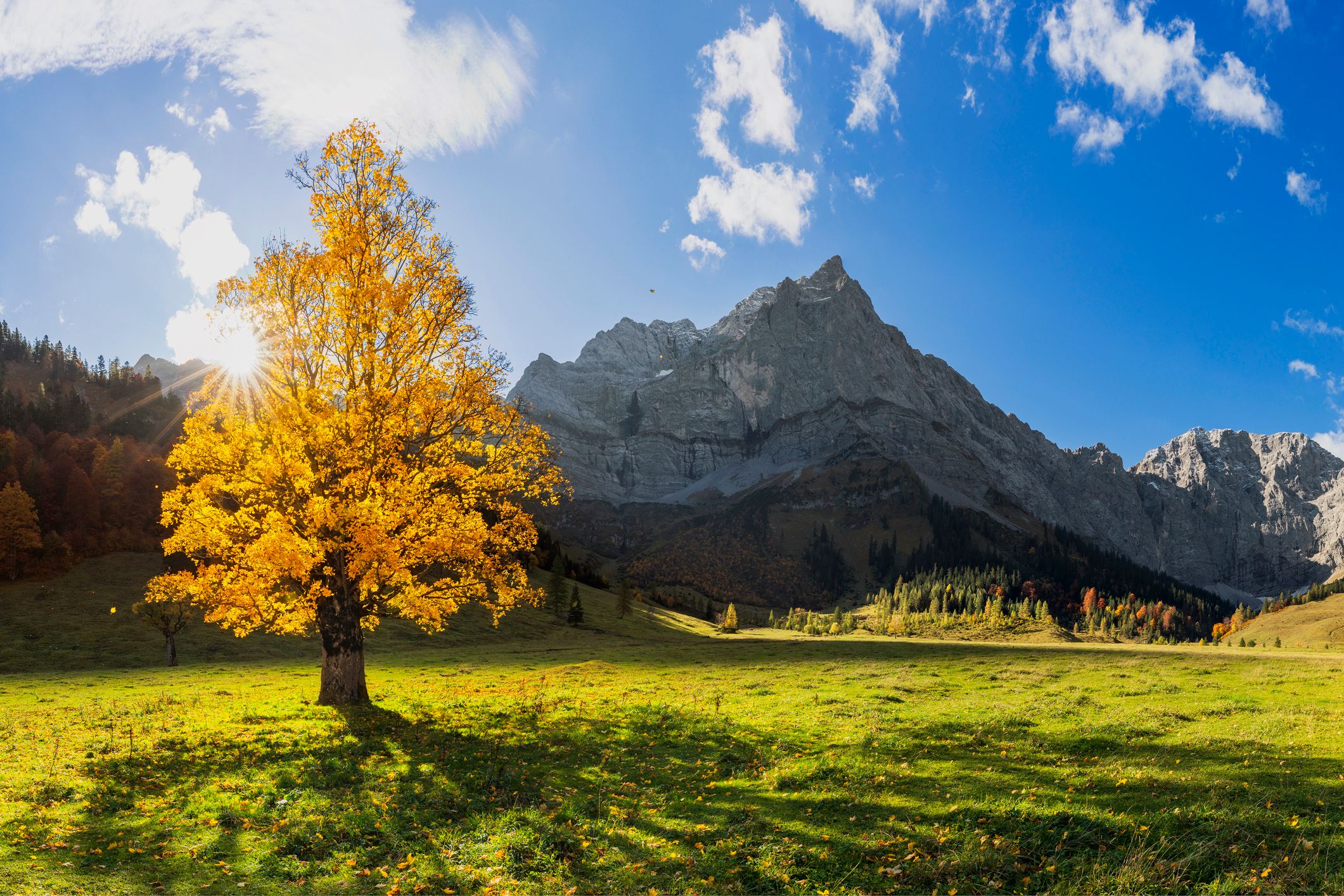 In den kommenden Tagen präsentiert sich der Herbst von seiner besten Seite. Archivbild.