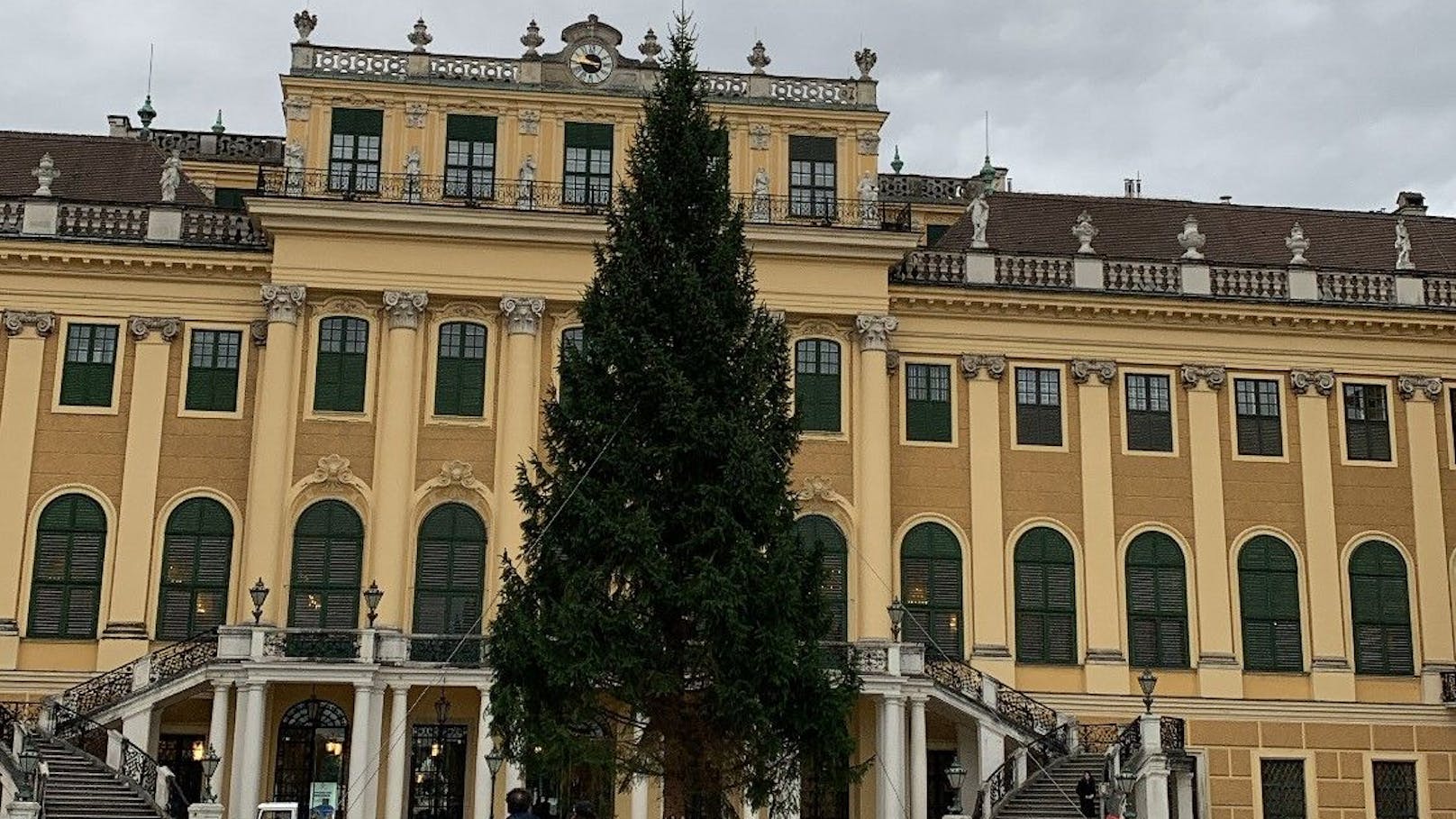 Ab 18. November wird er am Weihnachtsmarkt leuchten.