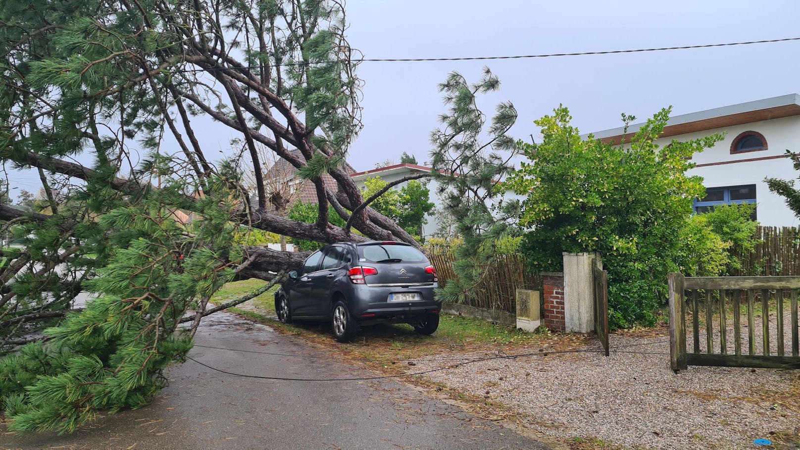 Orkan-Tief Ciarán verwüstet Frankreich: Umgestürzte Bäume in Le Touquet, Nordfrankreich.