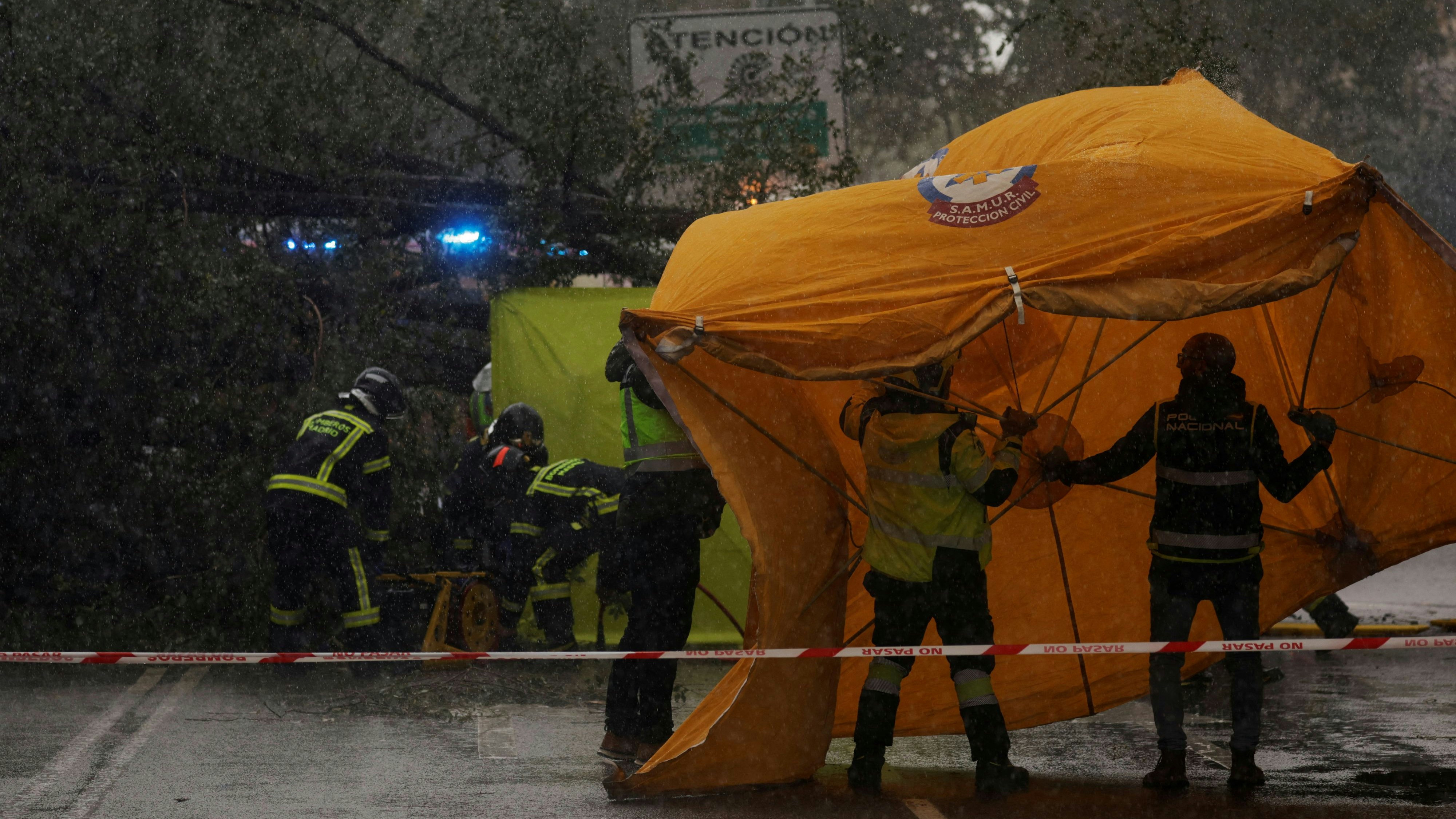 Police and emergency workers secure a cover next to a fallen tree that killed a woman during Storm Ciaran in central Madrid, Spain, November 2, 2023. REUTERS/Susana Vera