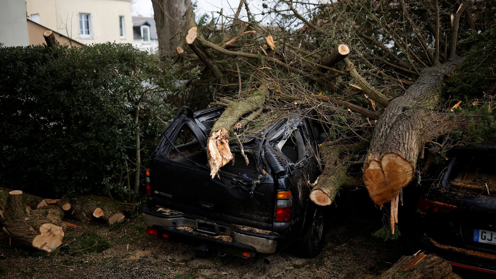 Orkan-Tief Ciarán verwüstet Frankreich: Umgestürzte Bäume in Clohars-Carnoet, Bretagne.