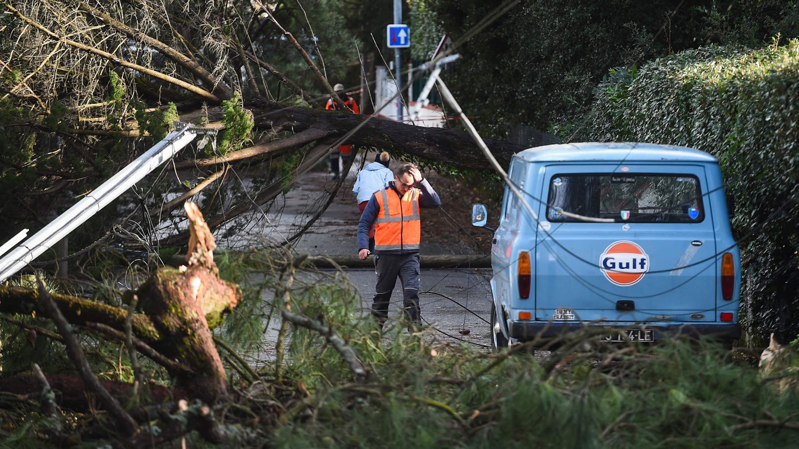 Orkan-Tief Ciarán verwüstet Frankreich: Umgestürzte Bäume in La Baule-les-Pins, Westfrankreich am 2. November 2023.