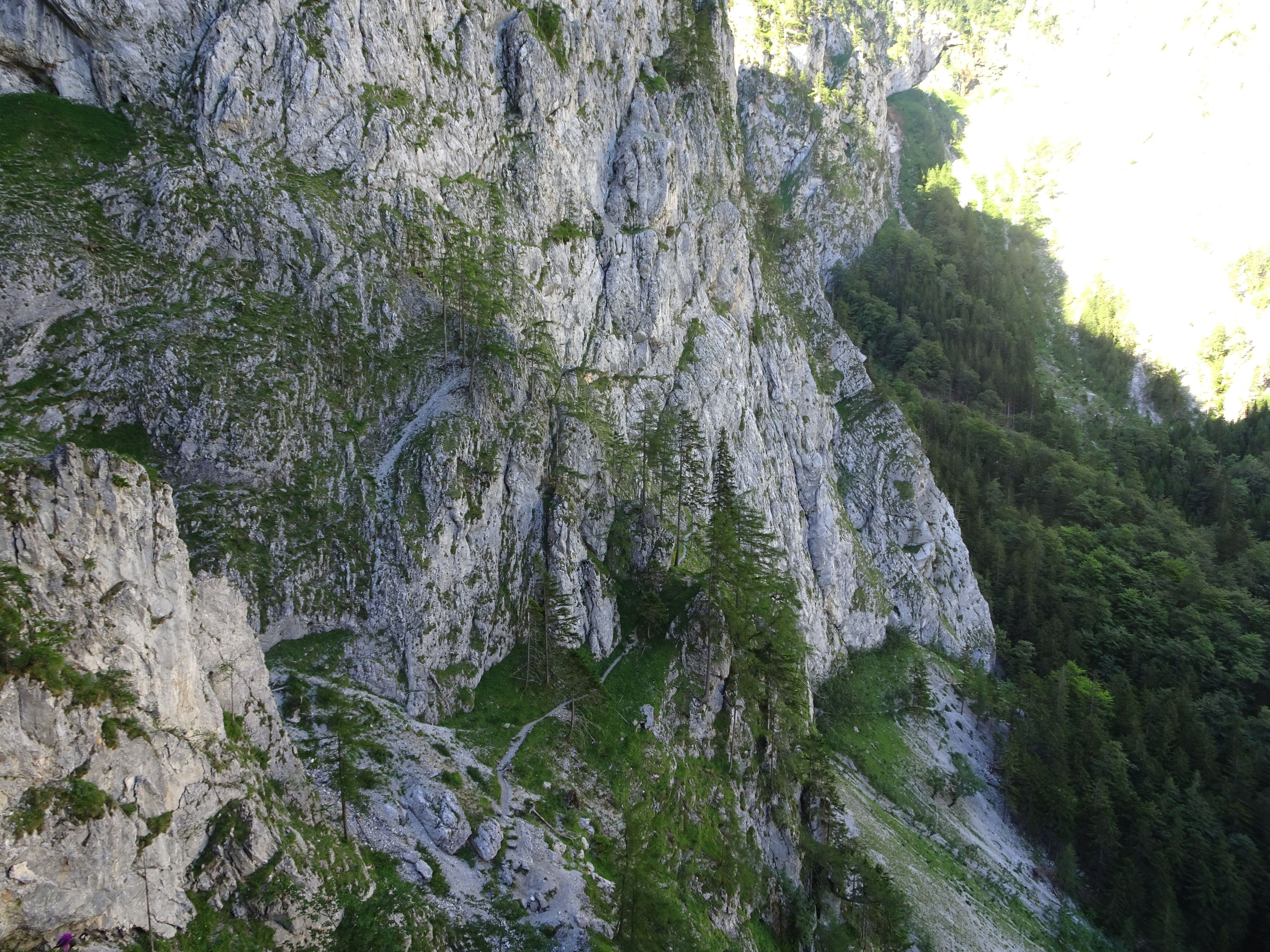 Zwei junge Frauen (21 und 22 Jahre) sind im oberen Bereich des Teufelsbadstubensteigs (Rax) vom Weg abgekommen. 