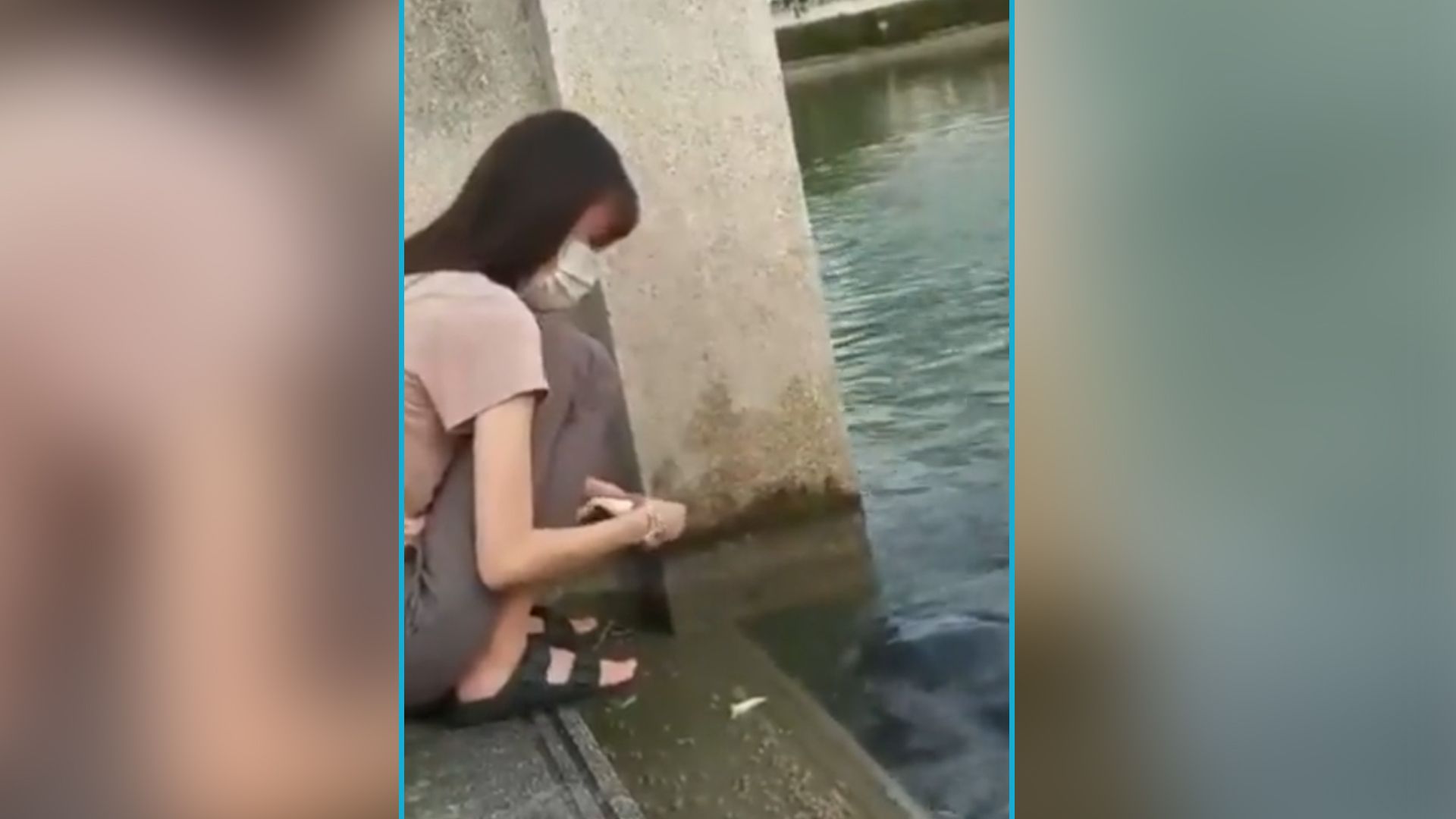 Als eine Frau Schildkröten füttern möchte, taucht auch ein anderer Nutznießer aus. 