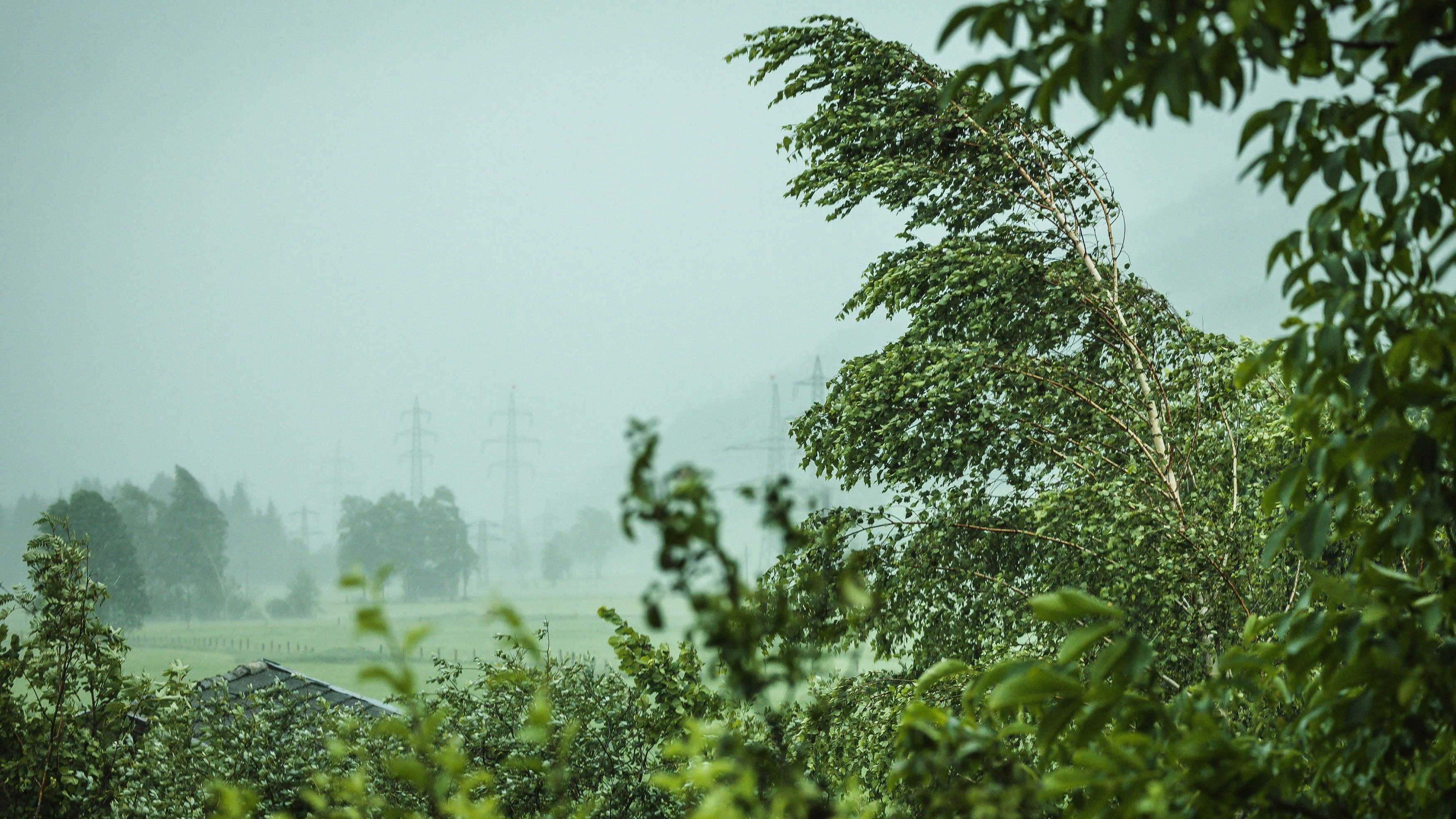 Auch am Wochenende kommt es in Österreich zu schweren Regenfällen und lokalen Gewittern. (Symbolbild)