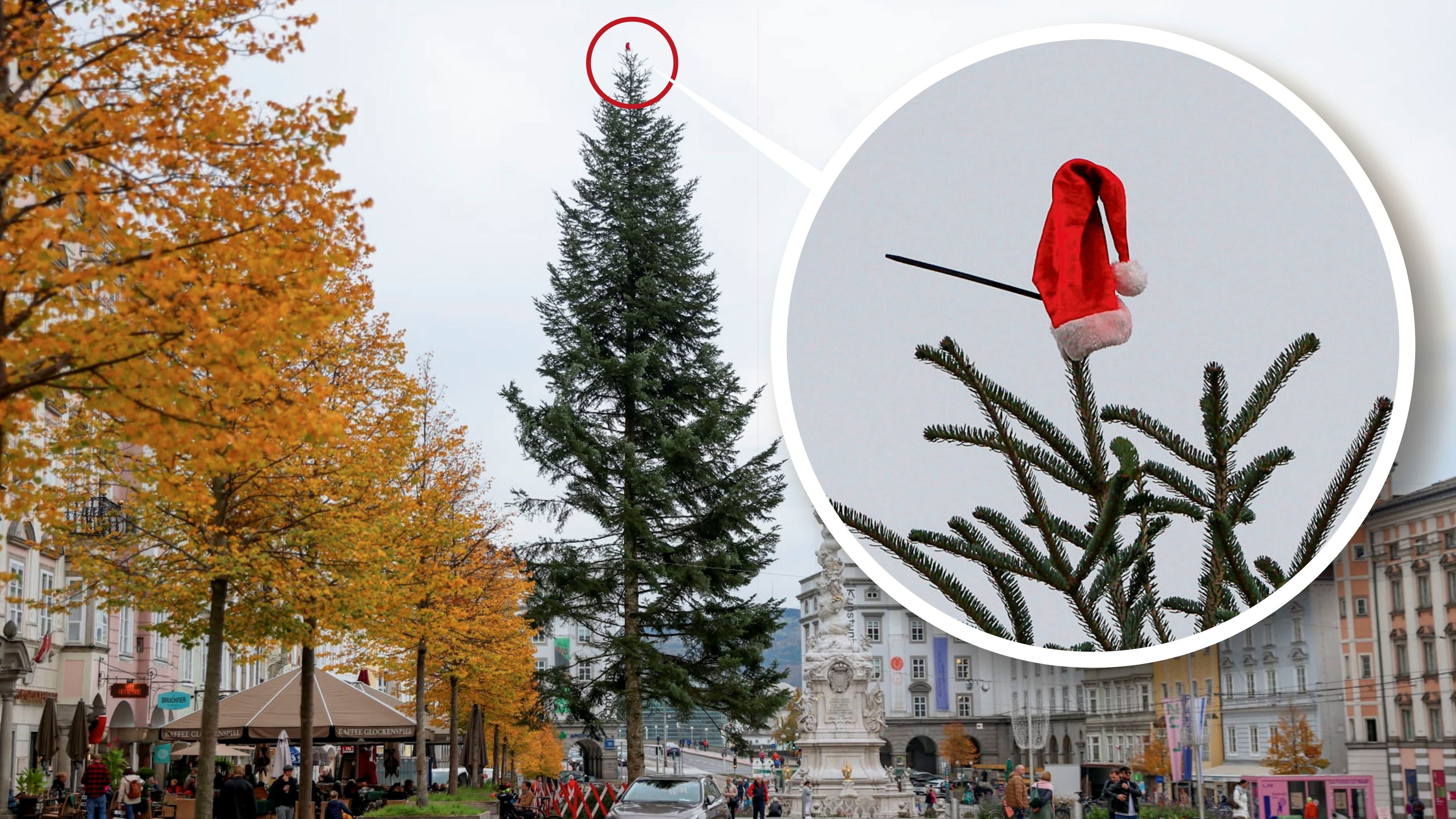 Nanu, was ist denn das? Ist dem Weihnachtsmann seine Mütze aus dem Schlitten gefallen und am Baum gelandet?