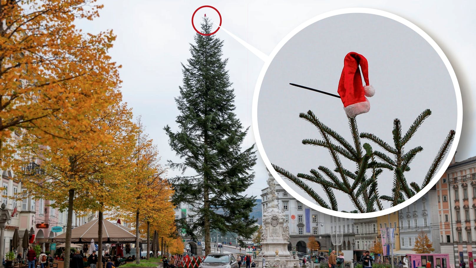 Ein Detail am Linzer Christbaum sticht sofort ins Auge