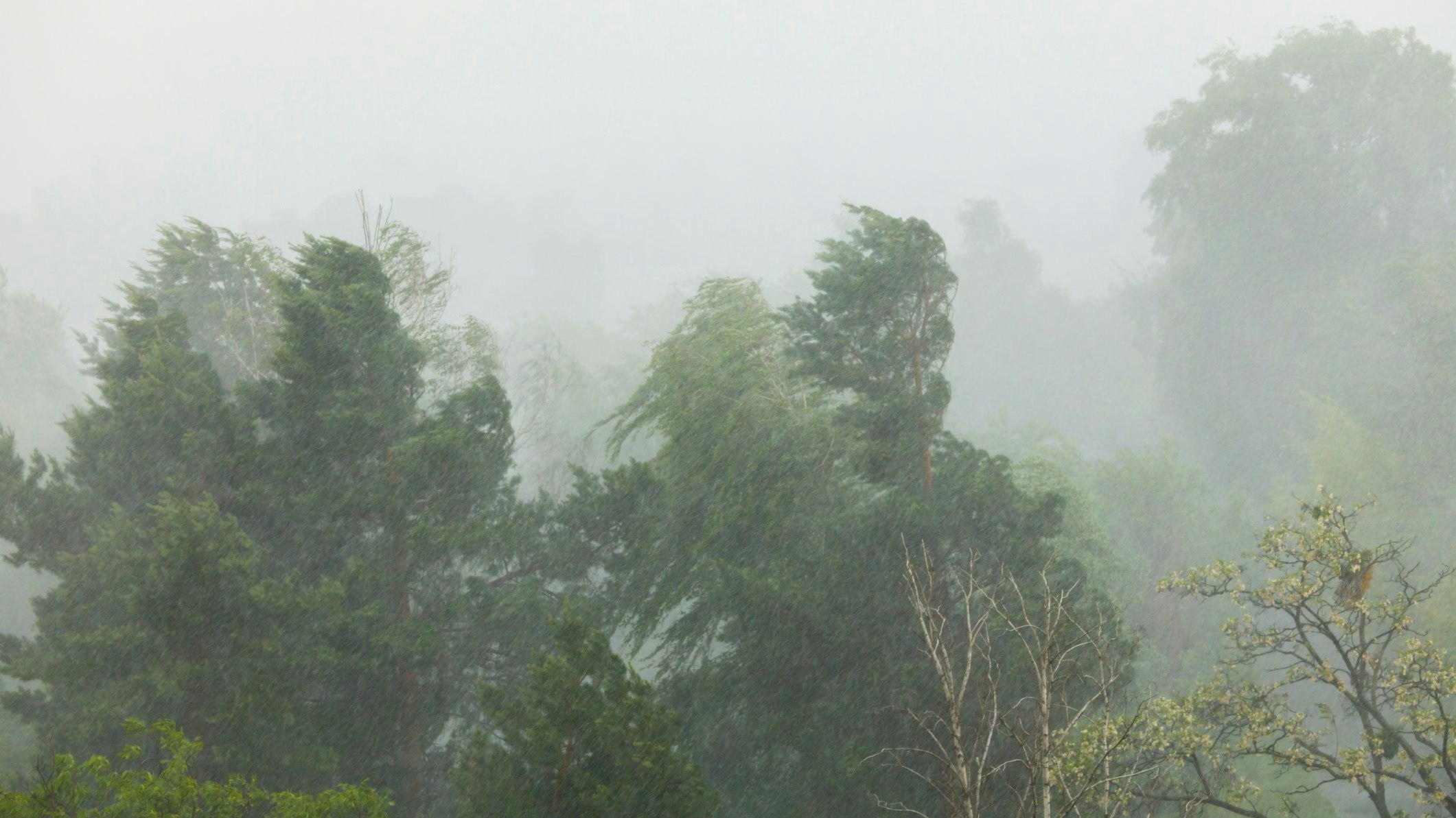 Ein Zwischenhocheinfluss sorgt in den kommenden Tagen für stabiles Wetter. (Symbolbild)