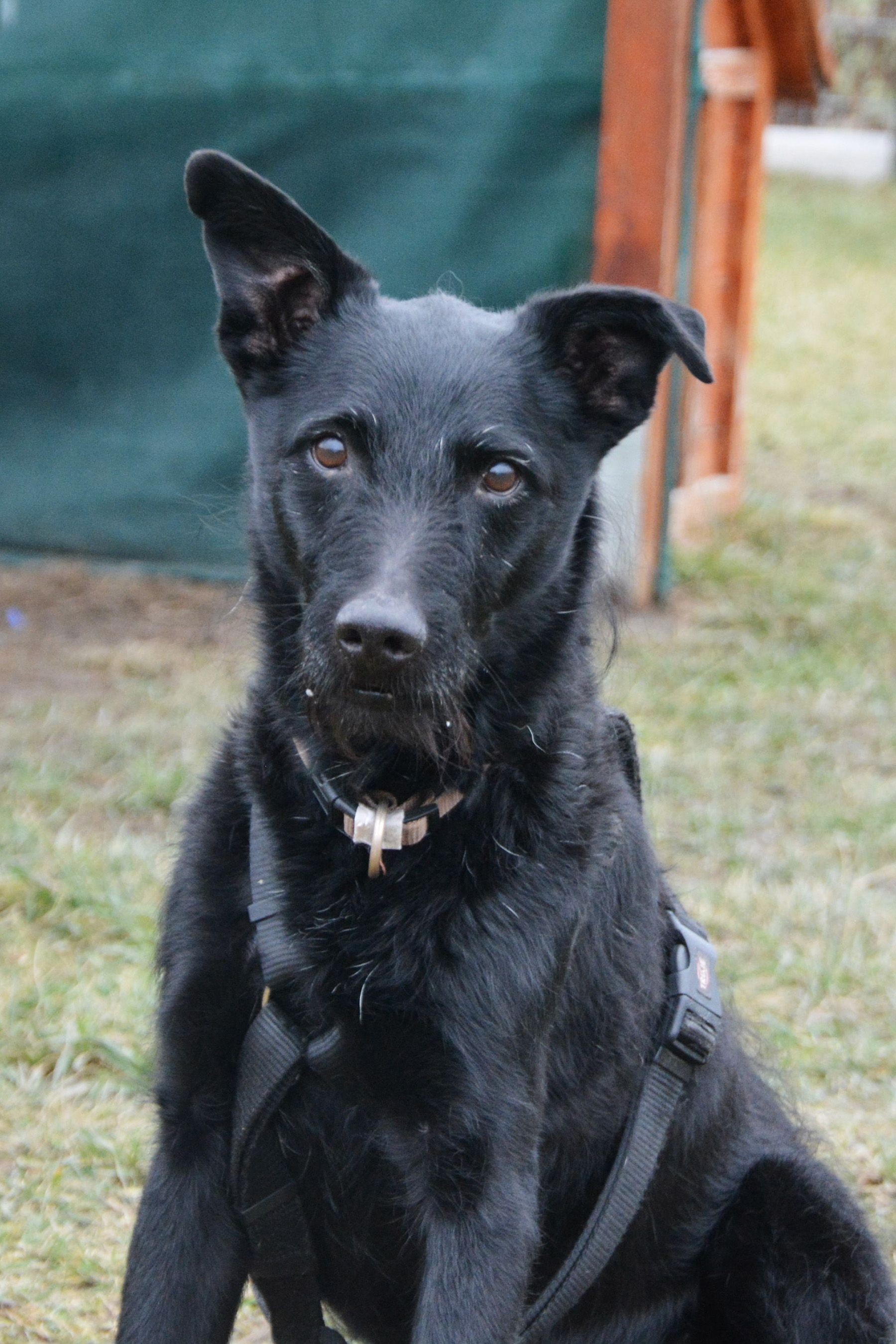 Severus Snape ist 11 Jahre alt und versteht die Welt nicht mehr.
