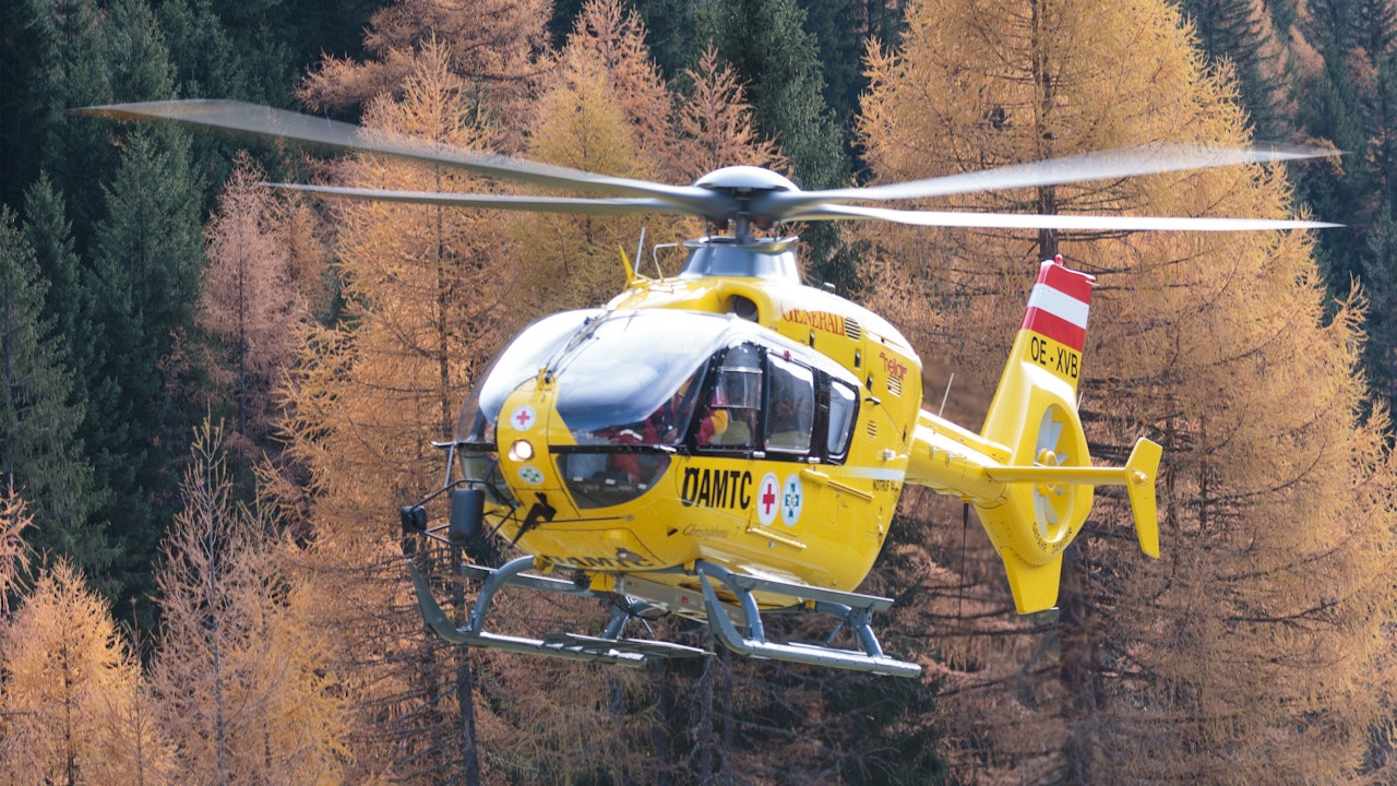 Heute.at - Tödlicher Forstunfall – Pensionist von Baum erschlagen