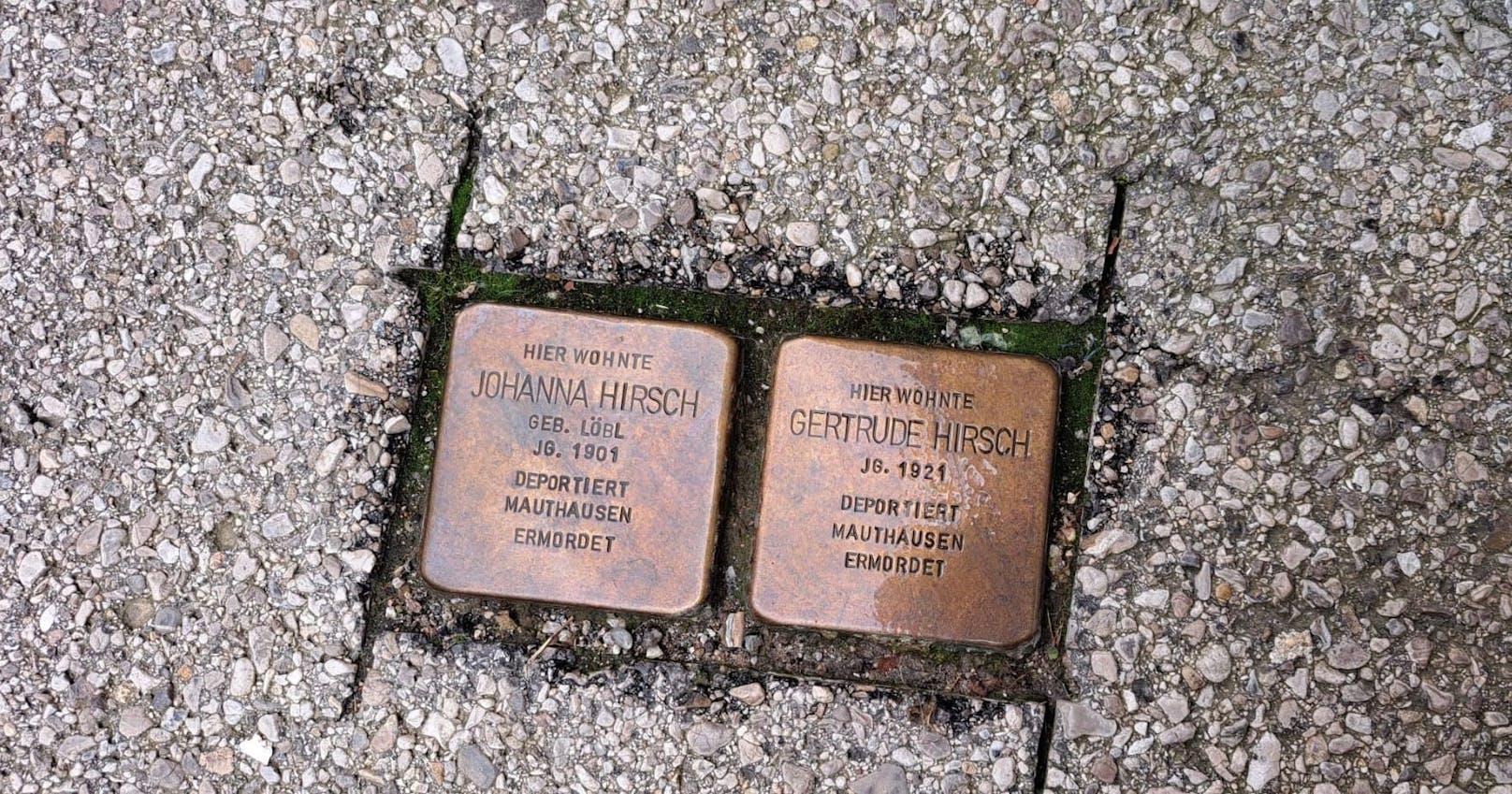 Stolpersteine geputzt