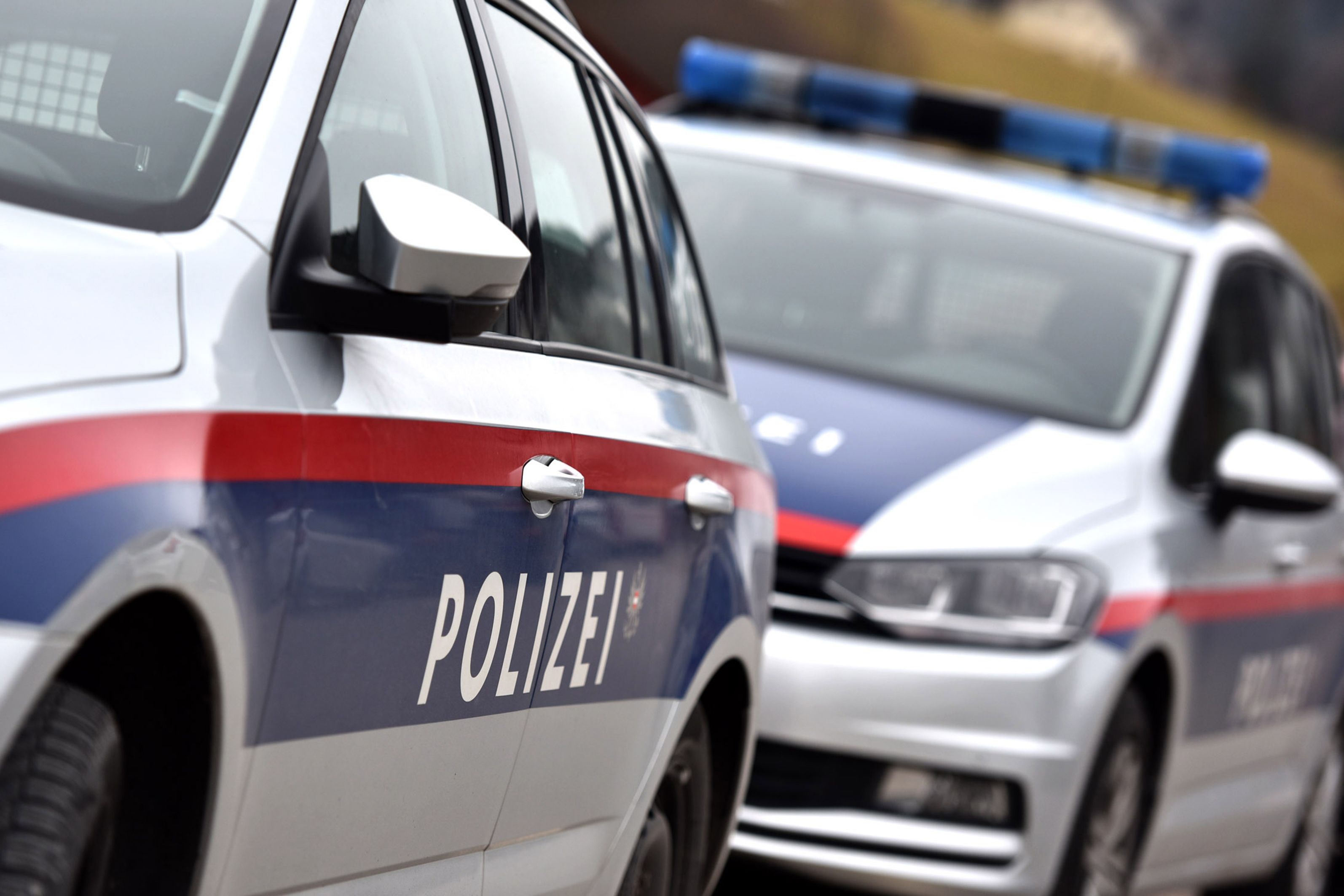 Einer der beiden 21-Jährigen attackierte Polizisten mit Schlägen und Tritten. (Symbolbild)