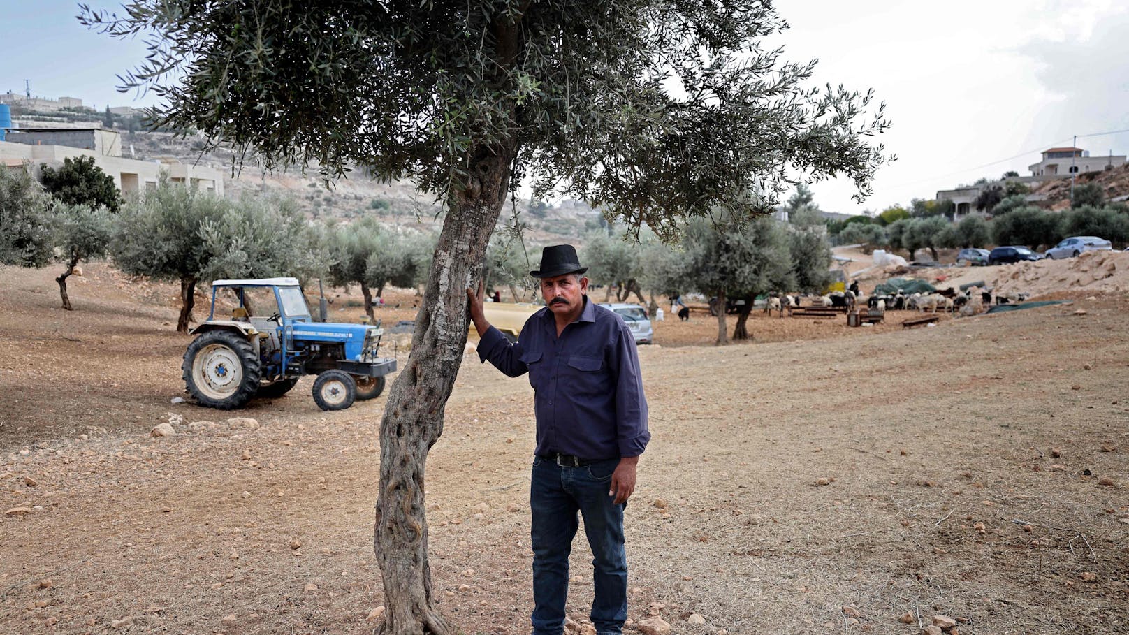 "Albtraum" – Gewalt israelischer Siedler eskaliert