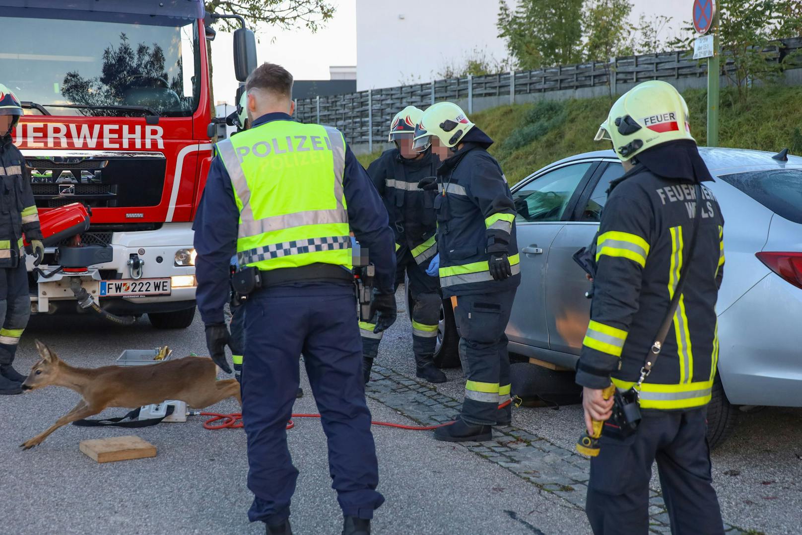 Es machte sich sofort aus dem Staub.