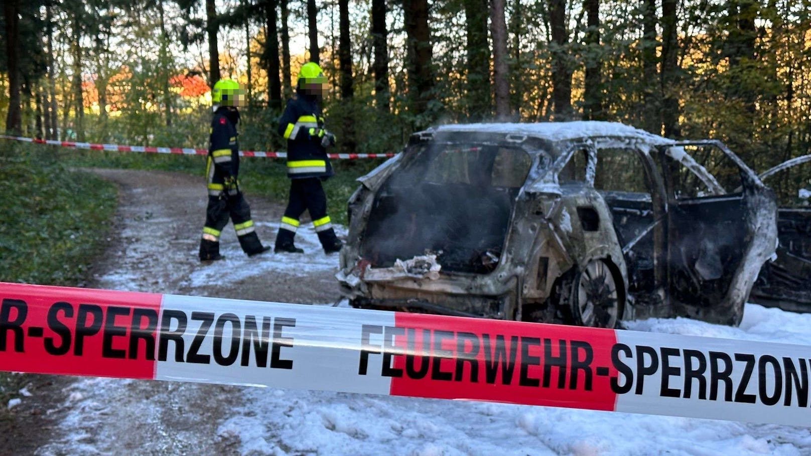 Der Wagen brannte in einem Waldstück.