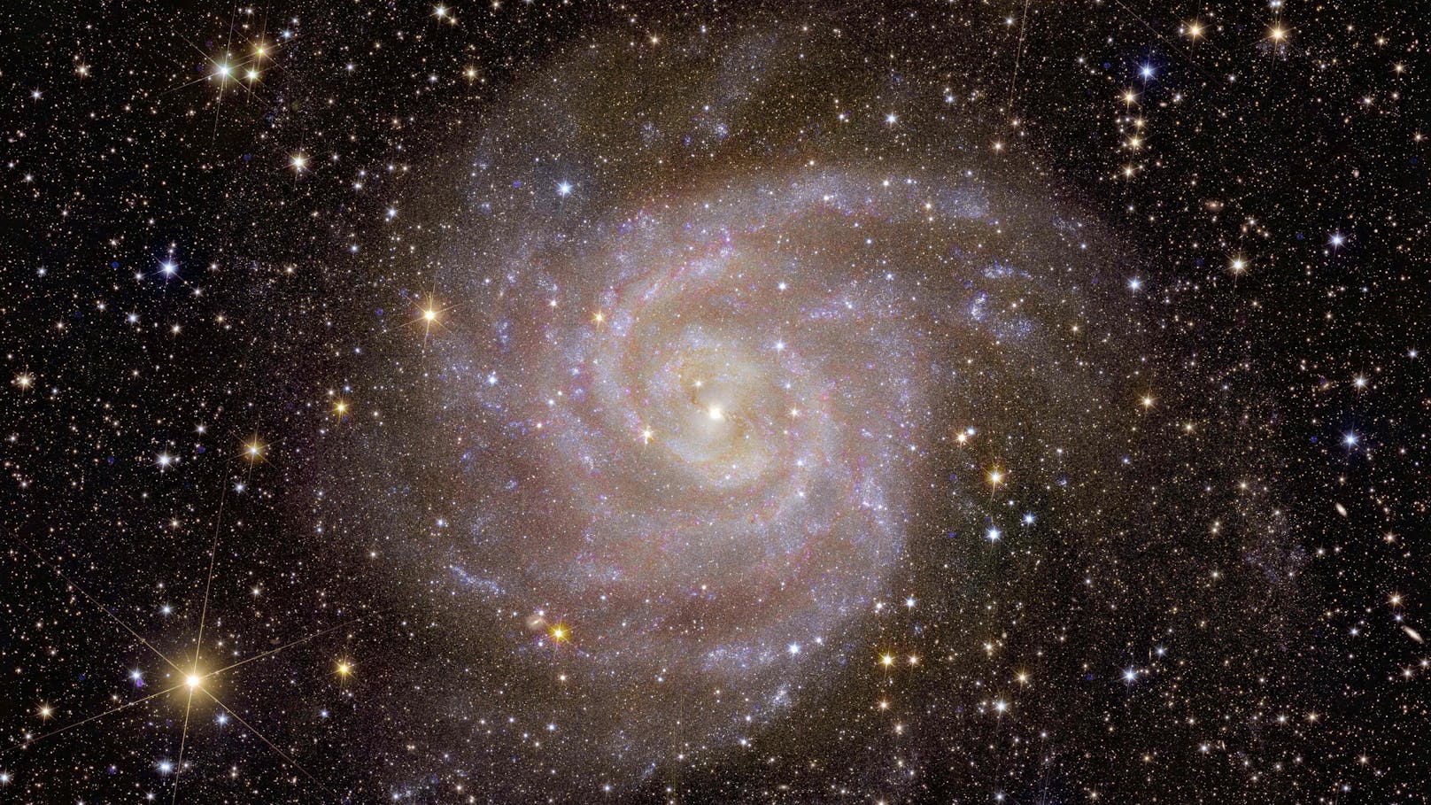 Erste Bilder der Anfang April in den Weltraum gestarteten Sonde "Euclid" zeigen unter anderem die Spiralgalaxie IC 342.