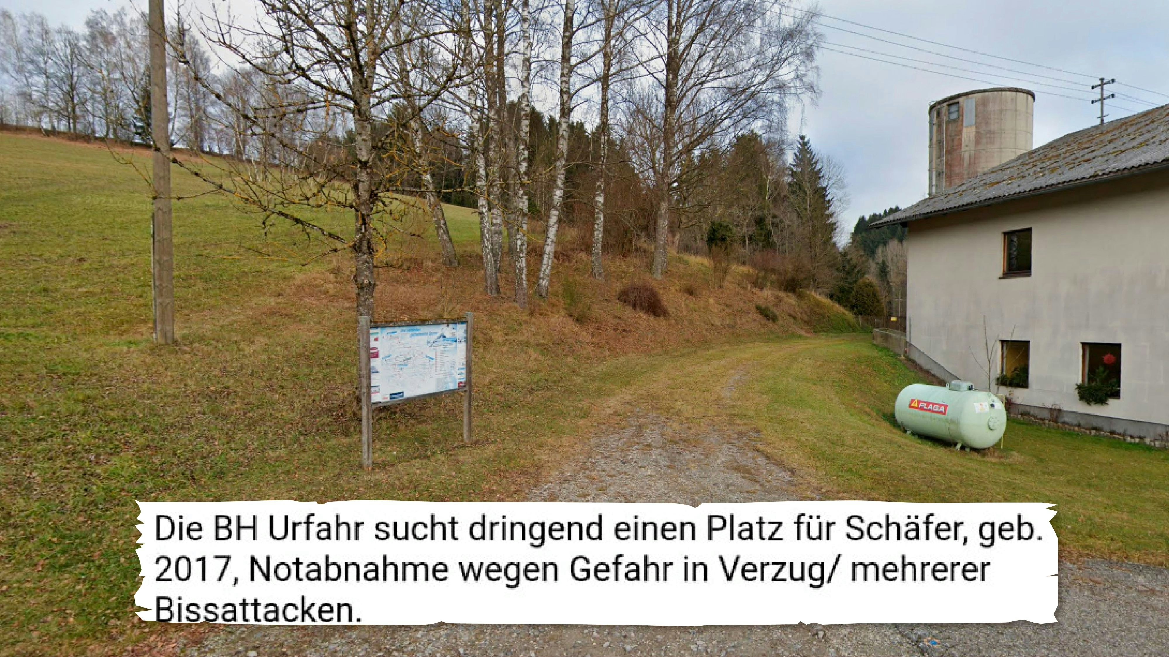 Hundeattacke Eidenberg