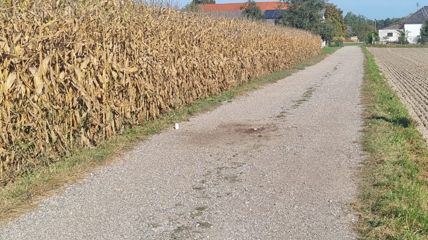 Nach einem neuerlichen Hundeangriff werden schreckliche Erinnerungen an die tödliche Attacke wach (im Bild die Unglücksstelle).
