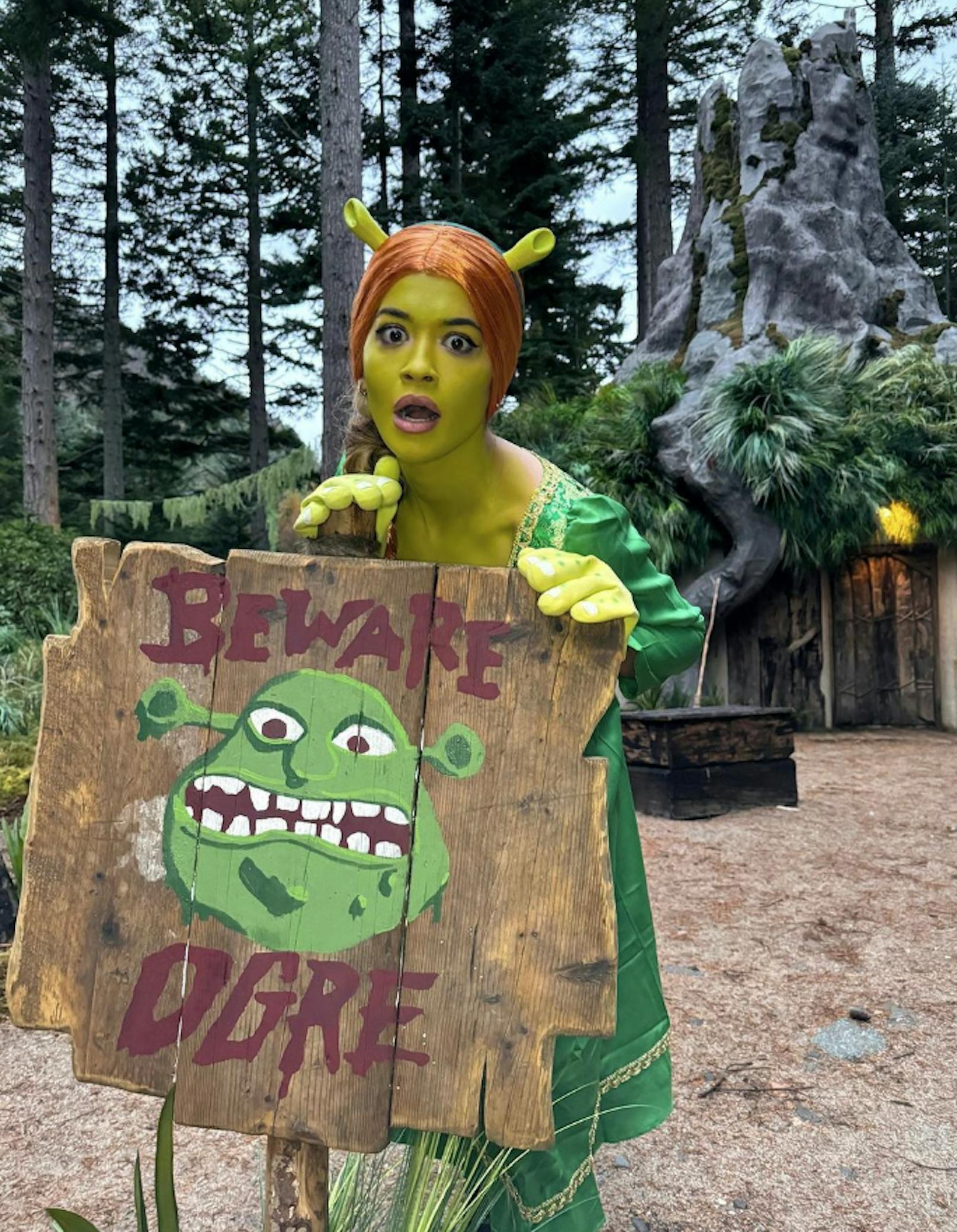 Bei Rita Ora ist Halloween noch nicht vorbei. Für "Airbnb" wird sie zu Fiona aus "Shrek".