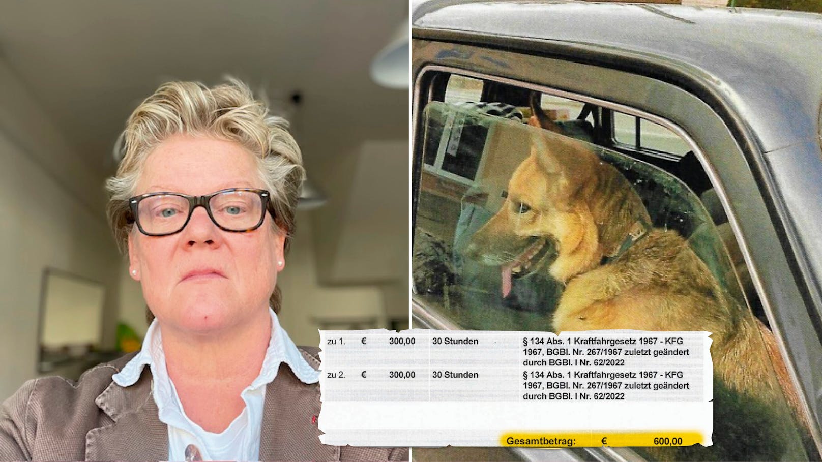 <strong>09.11.2023: Hund "Elly" saß im Auto vorne – 600 Euro Strafe</strong>: Anwältin Ulrike Werner war mit ihren beiden Vierbeinern im Auto in Niederösterreich zum Einkaufen unterwegs. Der Shopping-Ausflug endete teurer als geplant. <a rel="nofollow" data-li-document-ref="120003382" href="https://www.heute.at/s/hund-elly-sass-im-auto-vorne-600-euro-strafe-in-noe-120003382">Weiterlesen >></a>