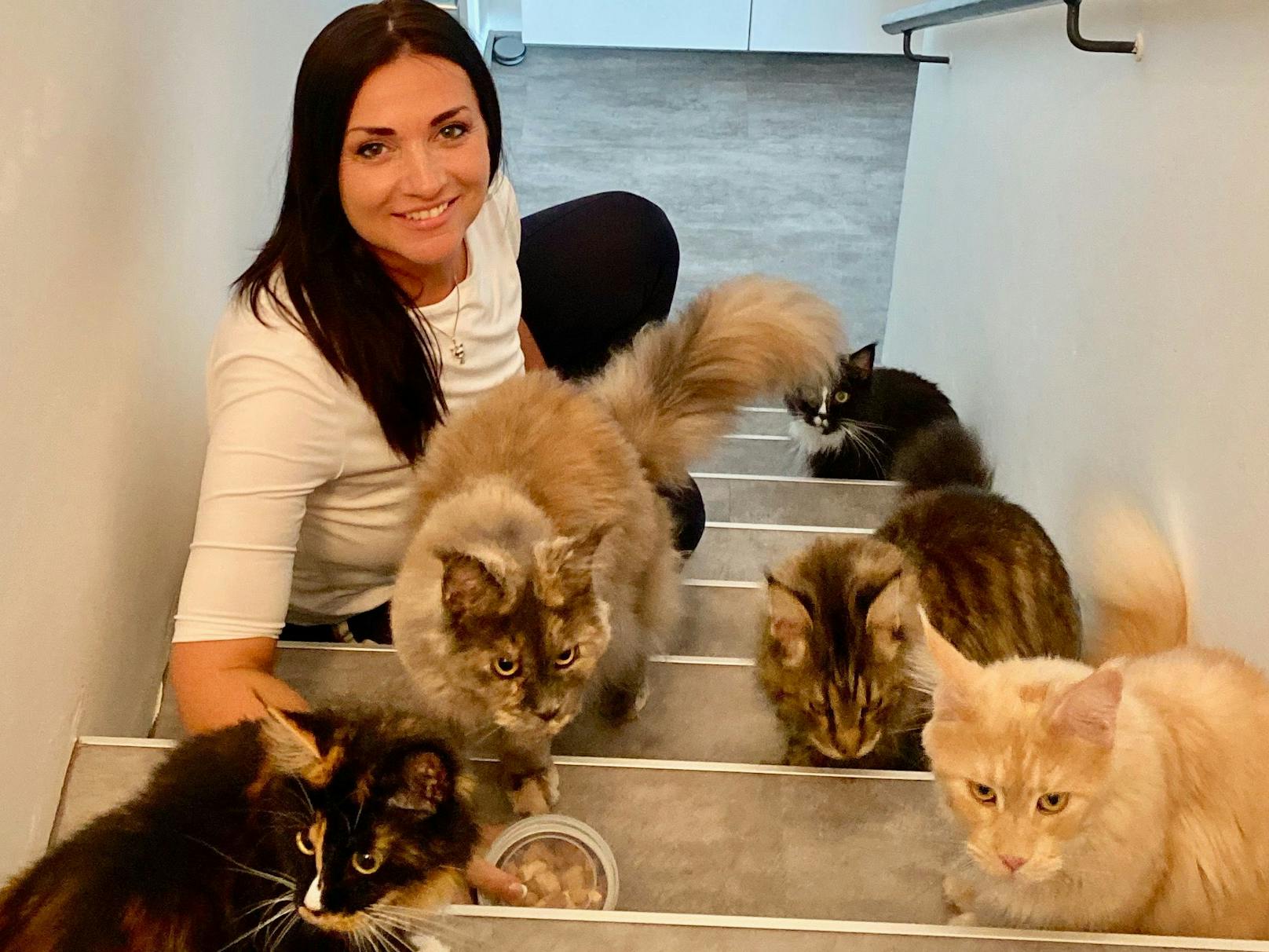 Wiener Expertin heilte schon 8.000 verrückte Katzen – Wien