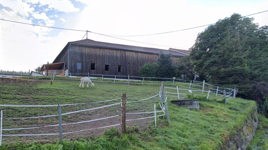 Laut "Heute"-Informationen landete die Schäferhundin nach dem Biss im Tierheim Freistadt.