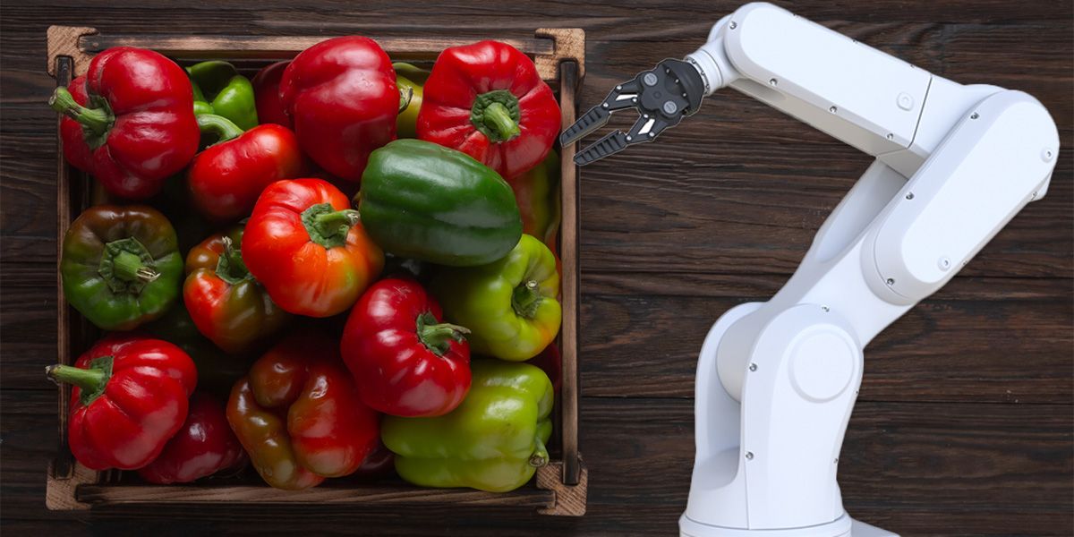 Der Industrieroboter, der mit Paprika gefüllte Kisten anhob und sie auf eine Palette legte, hatte offenbar eine Fehlfunktion und erkannte den Mann als Kiste (Symbolbild). 
