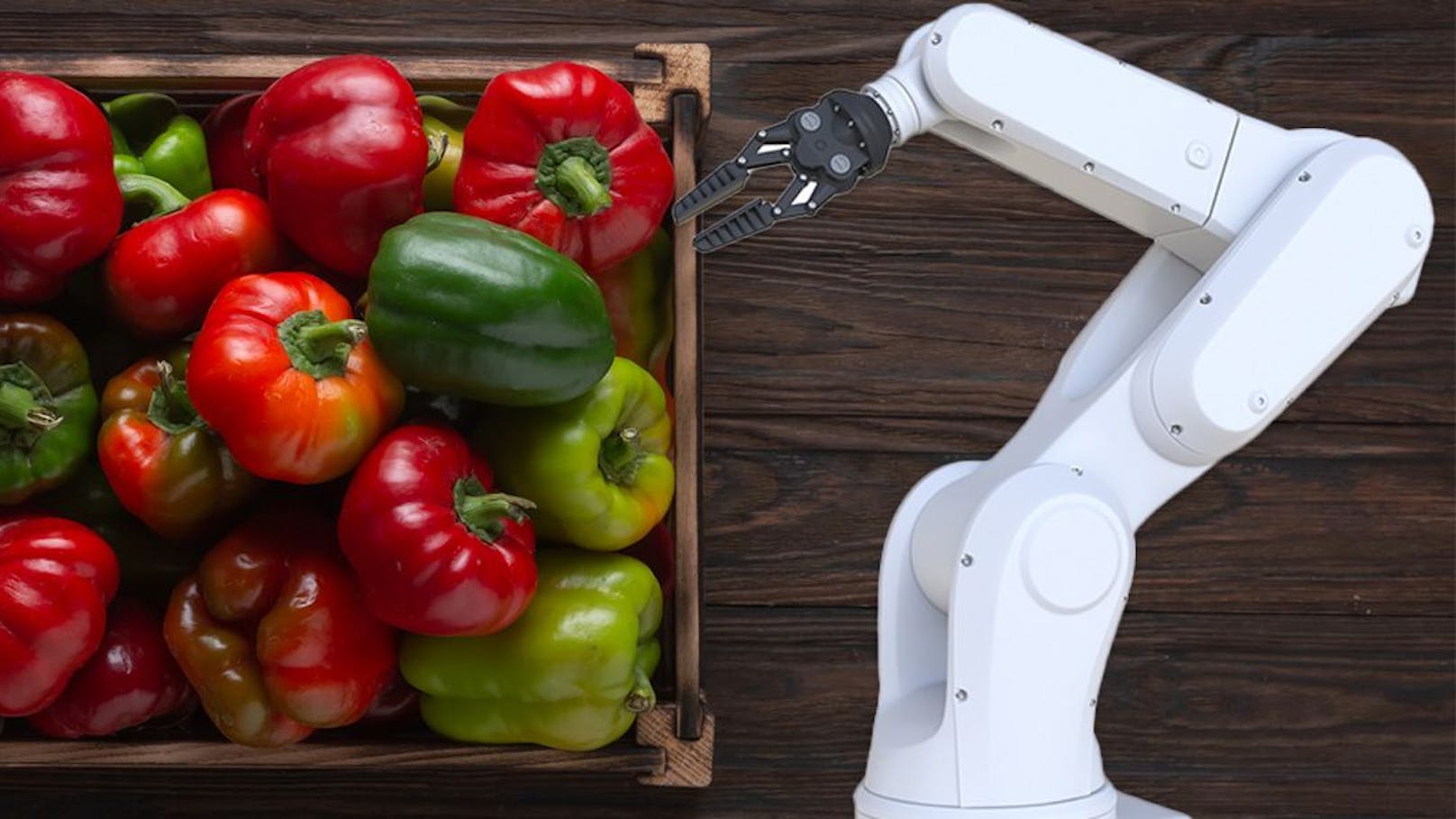 Mit Gemüse verwechselt – Roboter tötet Fabrikarbeiter